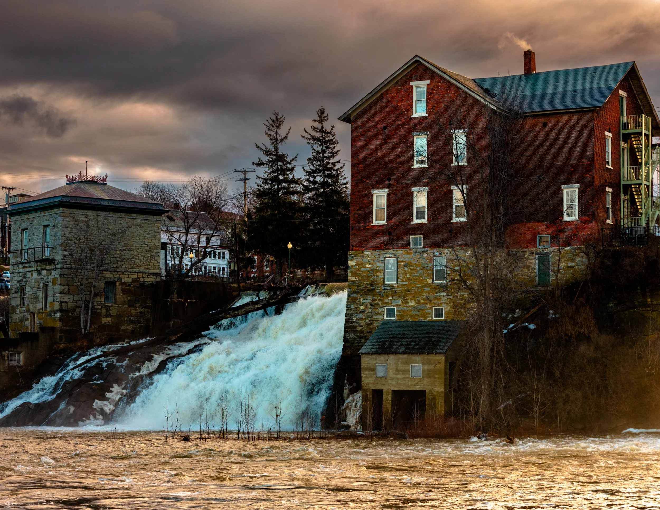 IMGA3512 POSTCARD 8.5x11 CAT.jpg