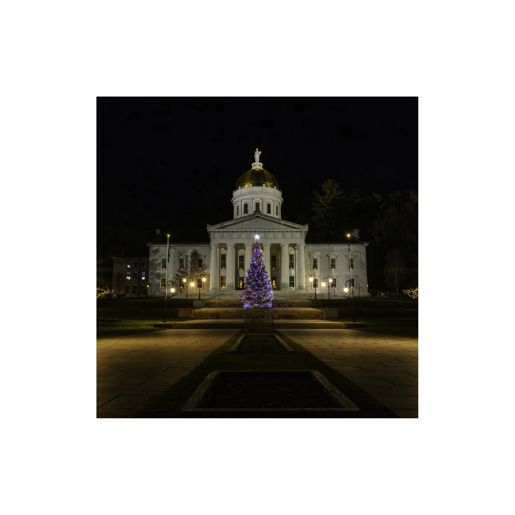 IMGA2532 6x6 1.125 CAT.jpg