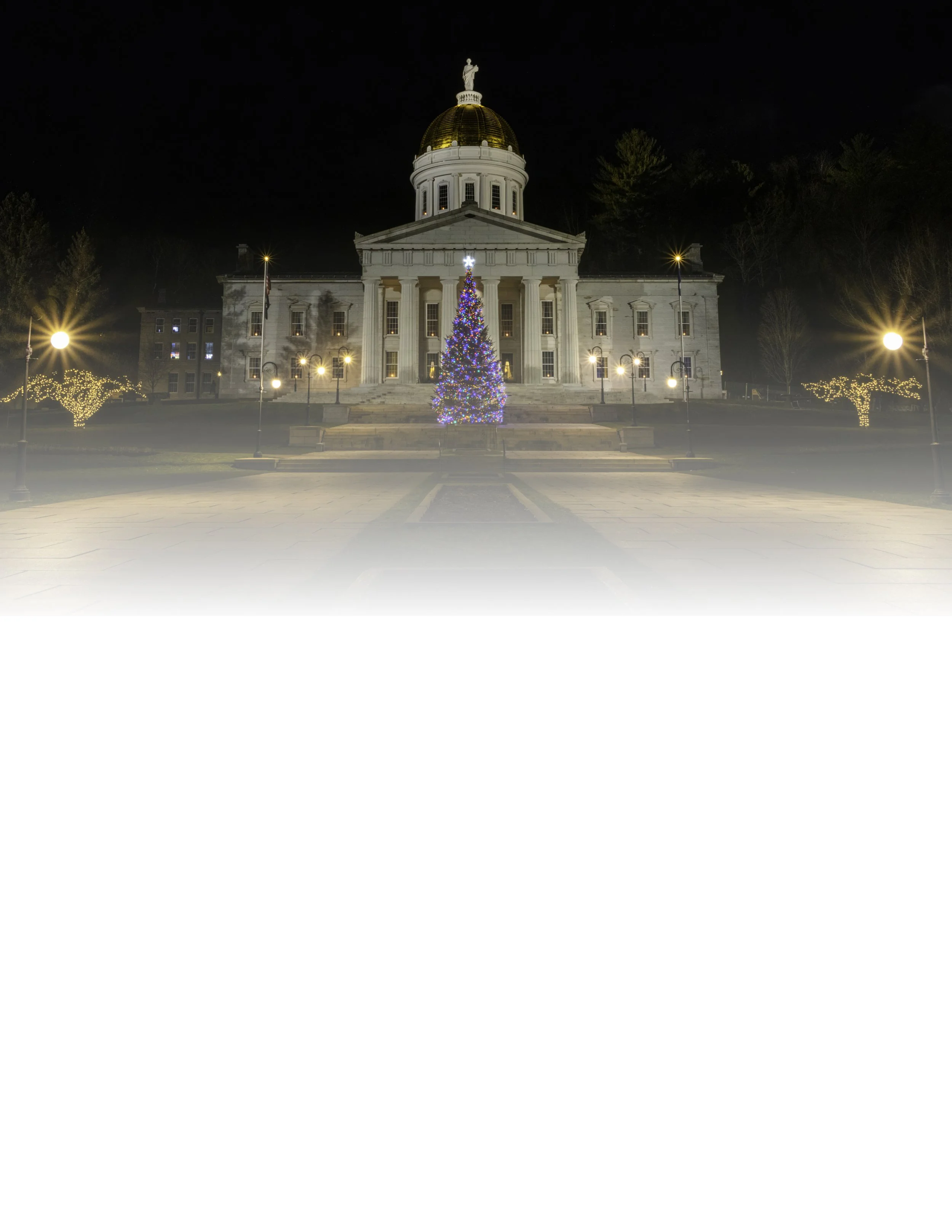 IMGA2532 NOTEPAD FADE 8.5x11 CAT.jpg