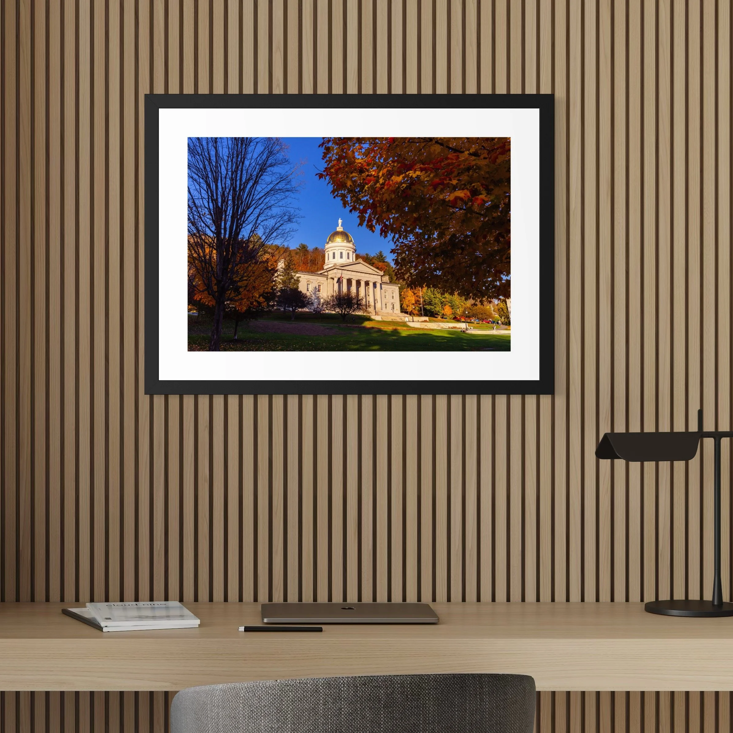 IMGD0264 28x20 2.125 FRAME.JPG