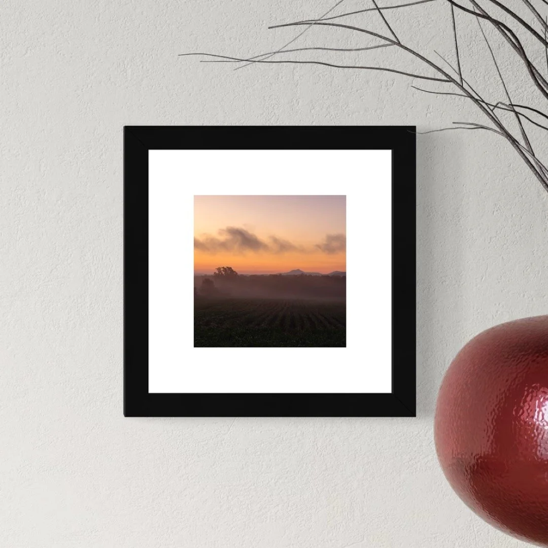 IMGB2831 B 6x6 1.125 FRAME.JPG