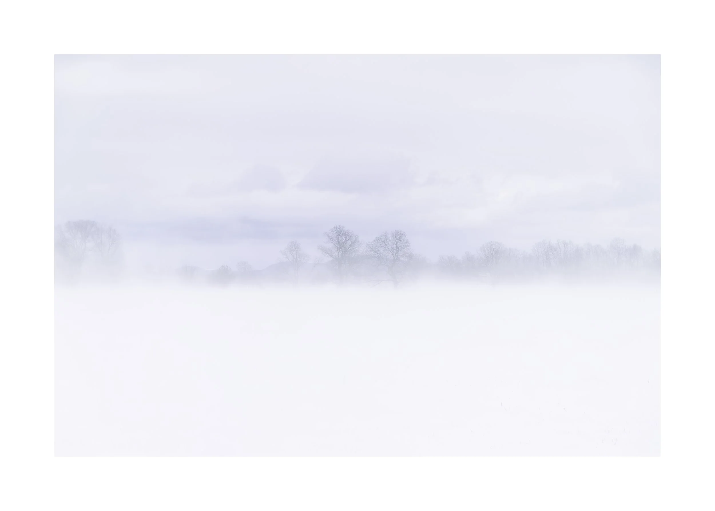 IMGG6699 20X28 2.125 CAT.jpg