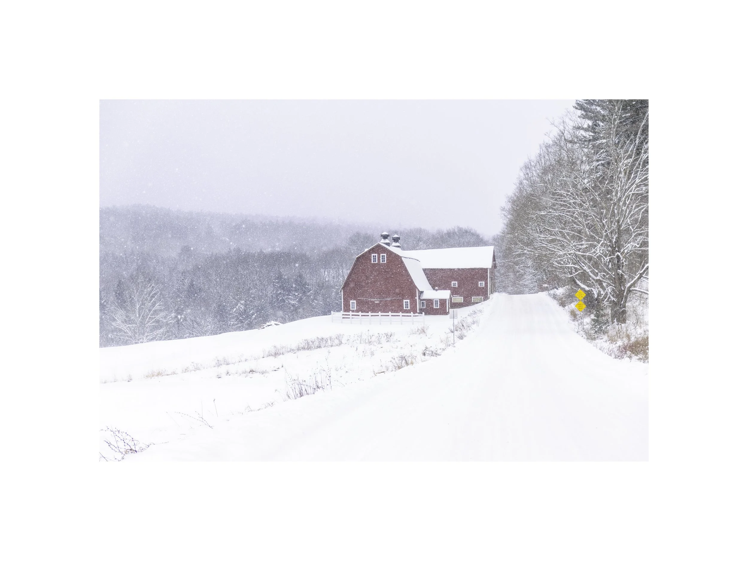 IMGG6778 12x16 2.125 CAT.jpg