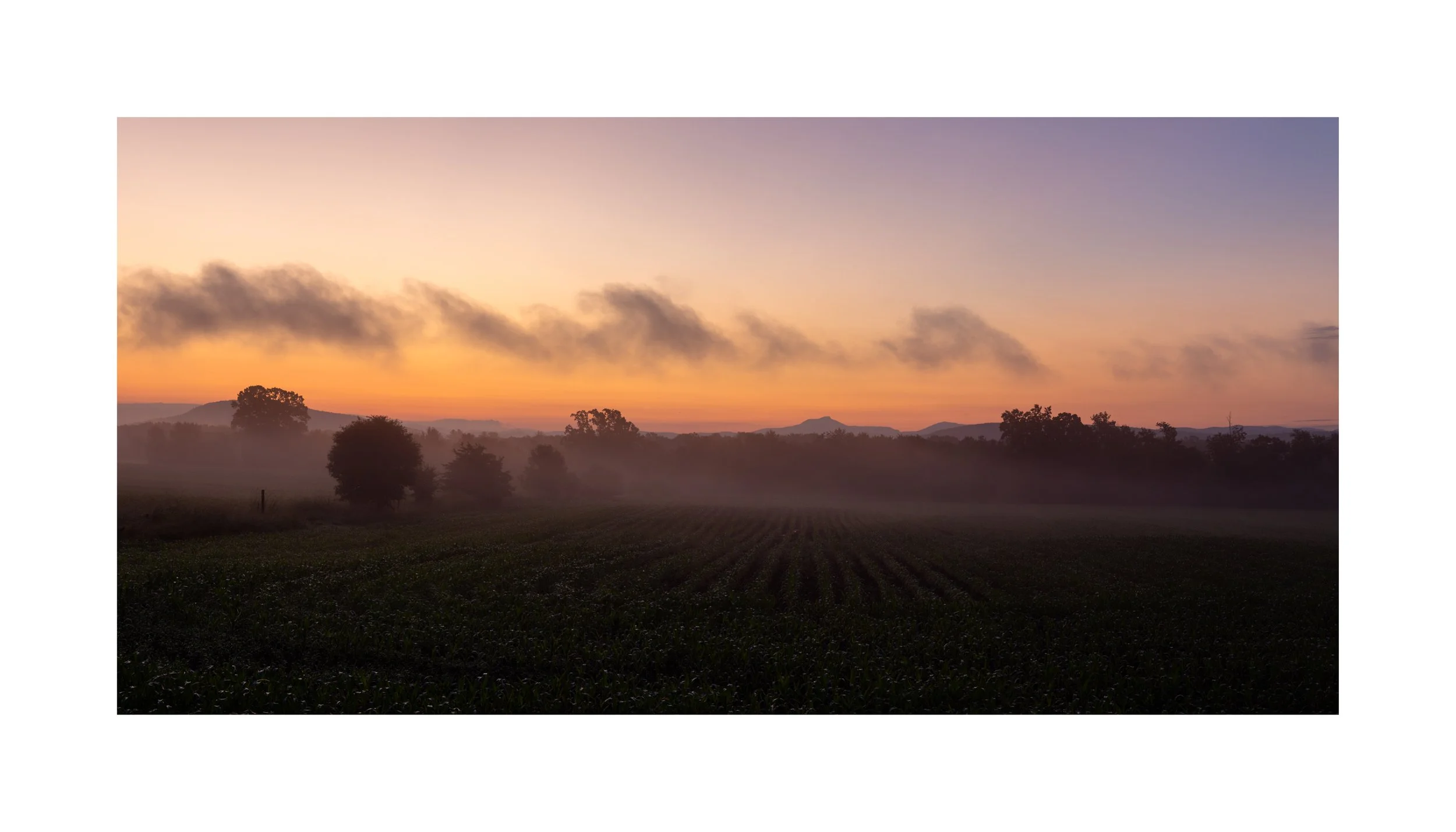 IMGB2831 8x14 1.125 CAT.jpg