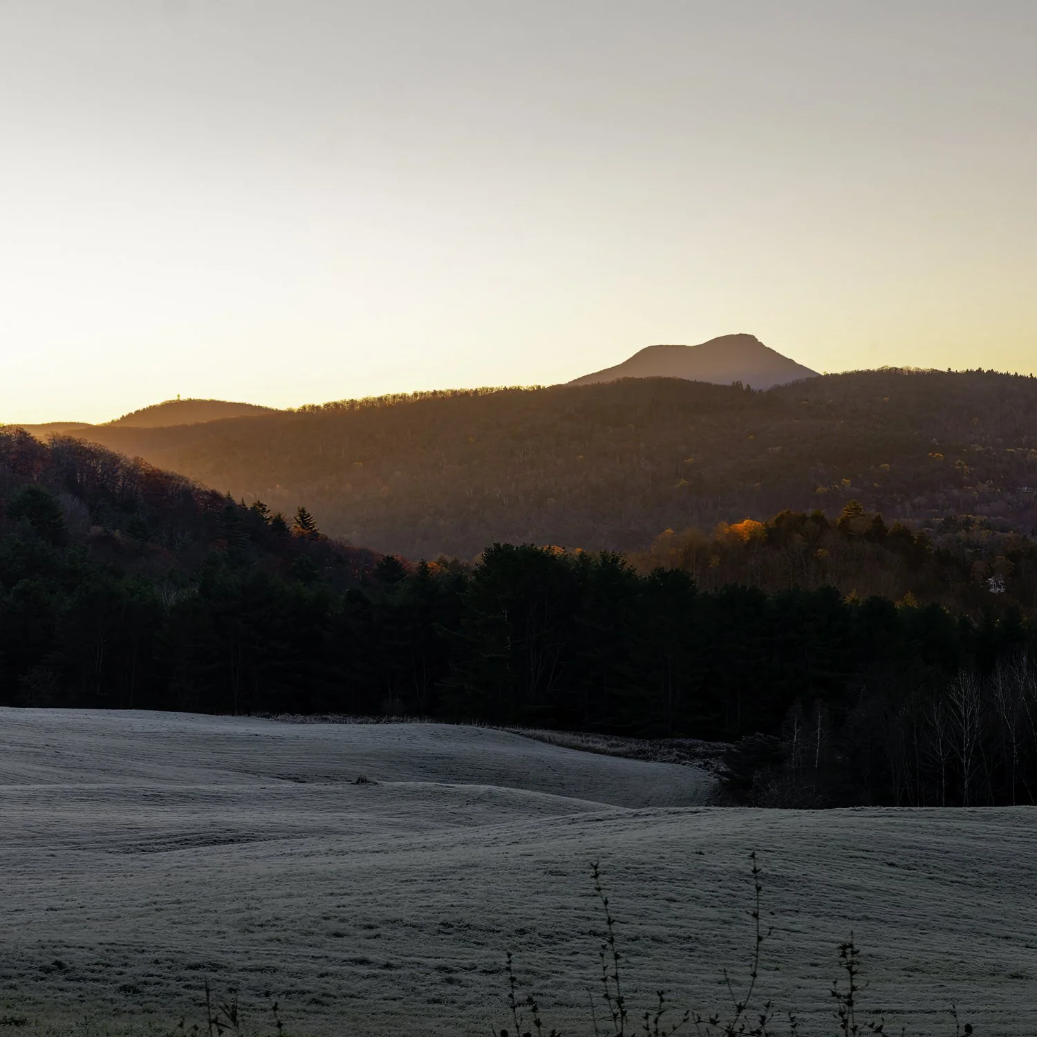 IMG_1285 5x5 MUG CAT.jpg