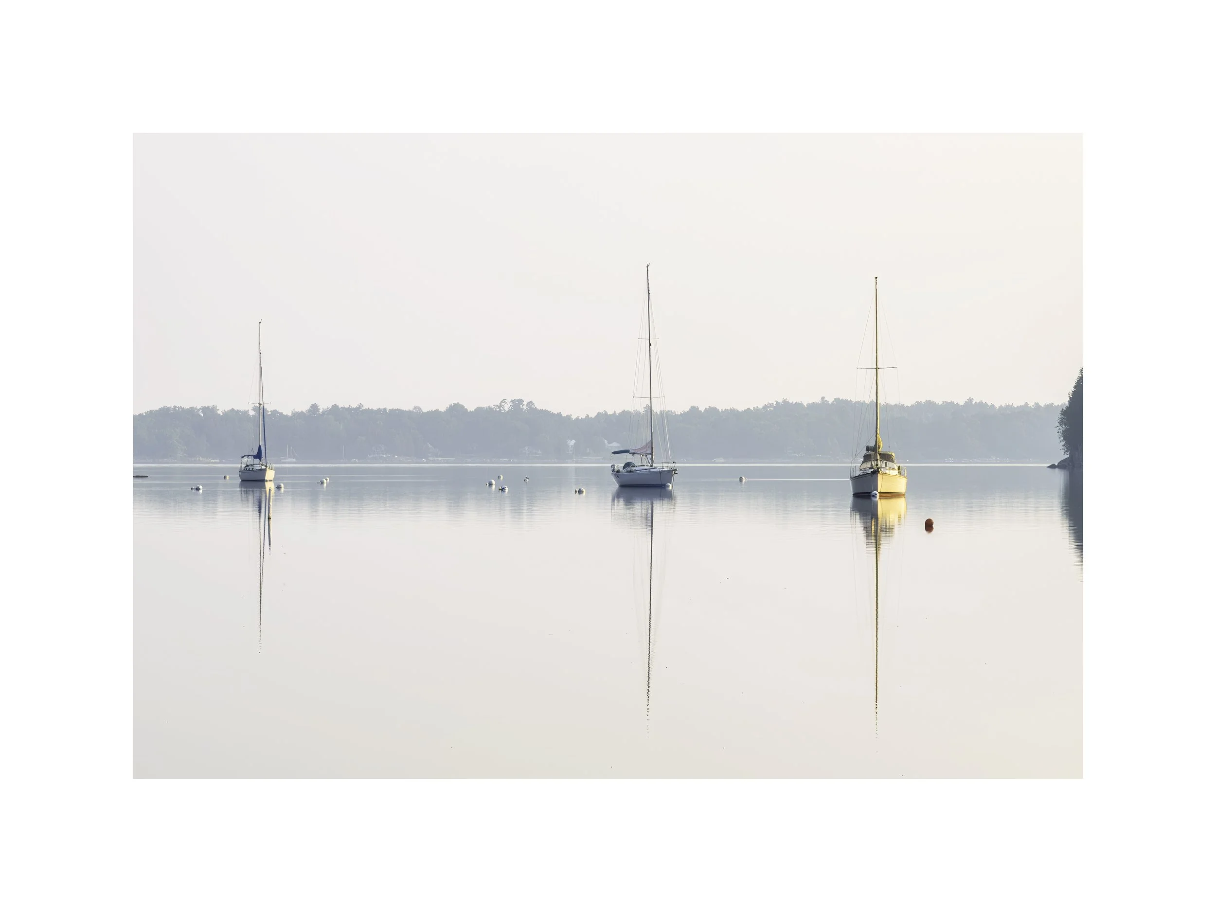 IMGA3508 E4 18x24 2.625 CAT.jpg