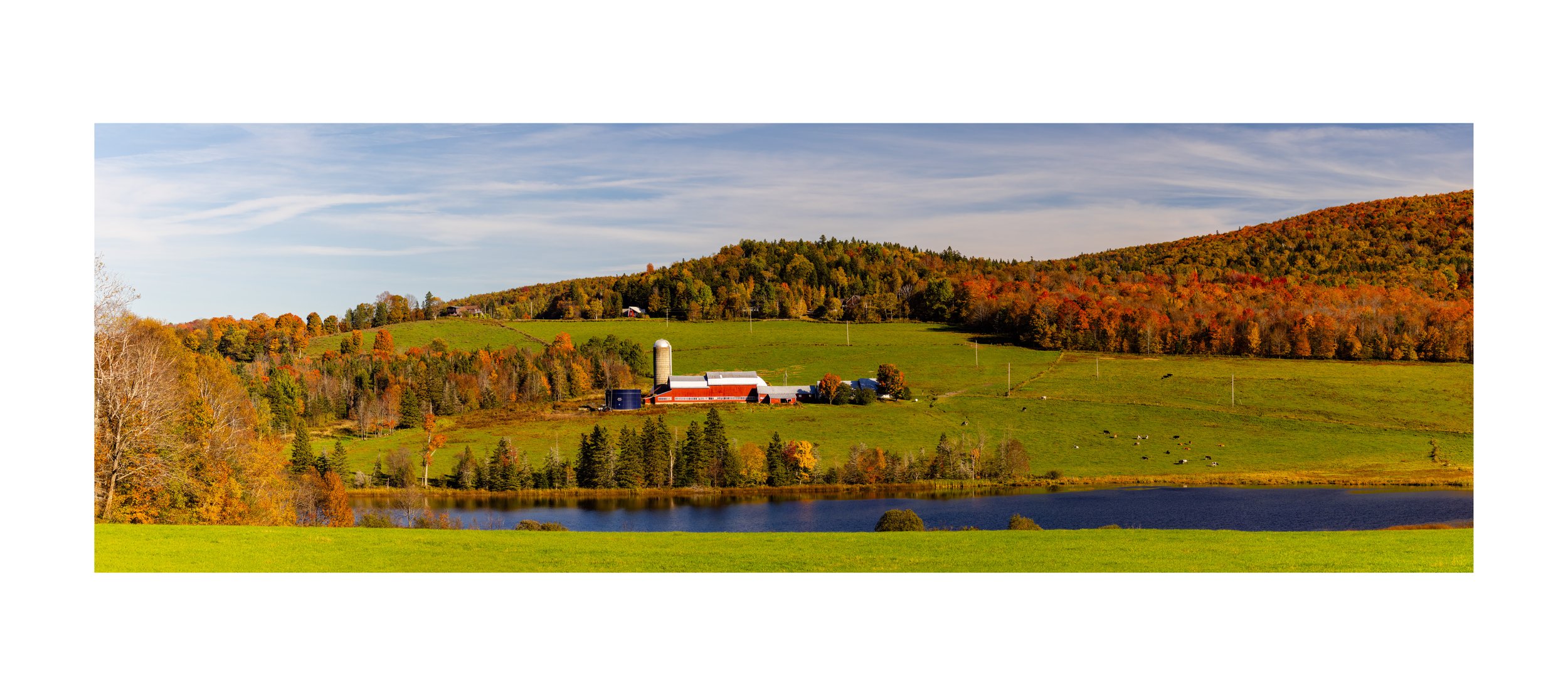 IMGC9641 12x27 2.125 1.625 CAT-L.jpg