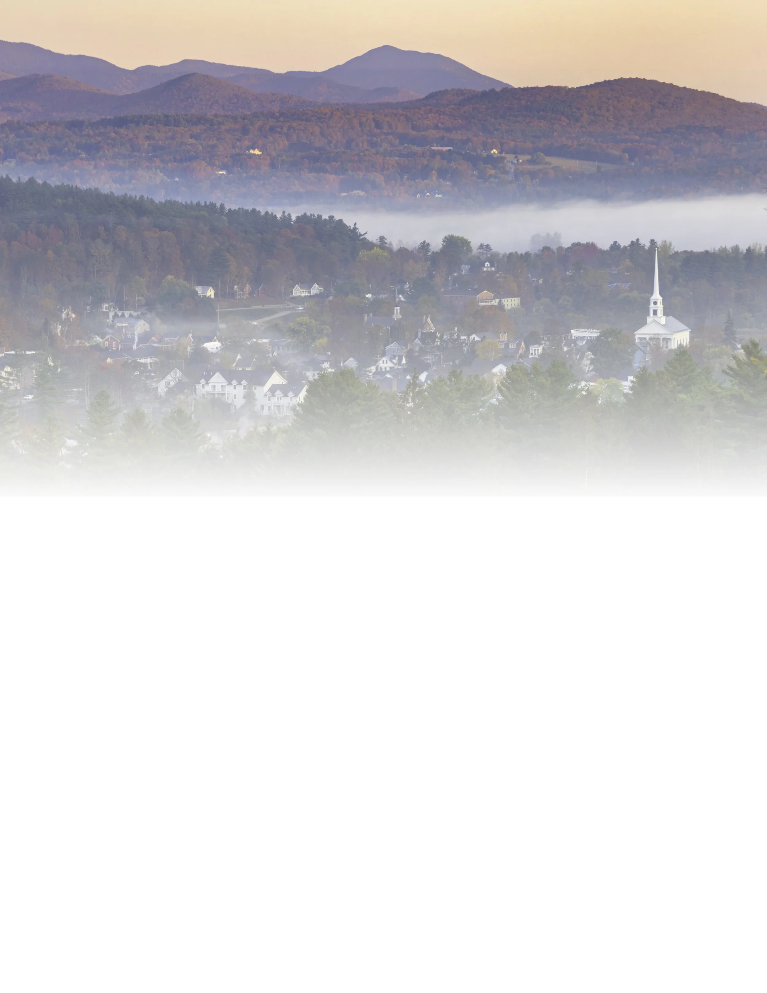 IMGG2943 NOTEPAD FADE 8.5x11 CAT.jpg