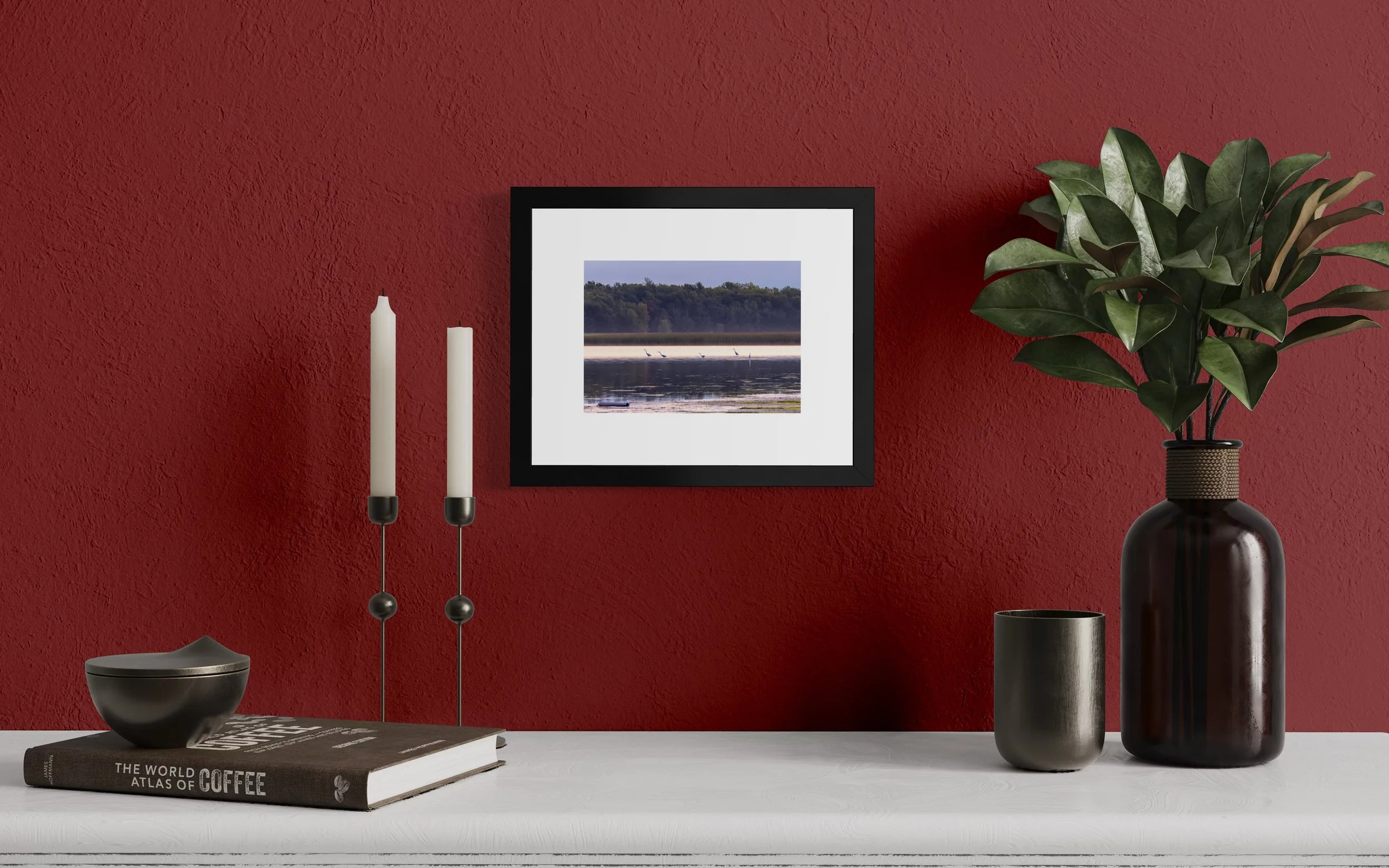 IMGG1615 8x10 1.625 FRAME.JPG