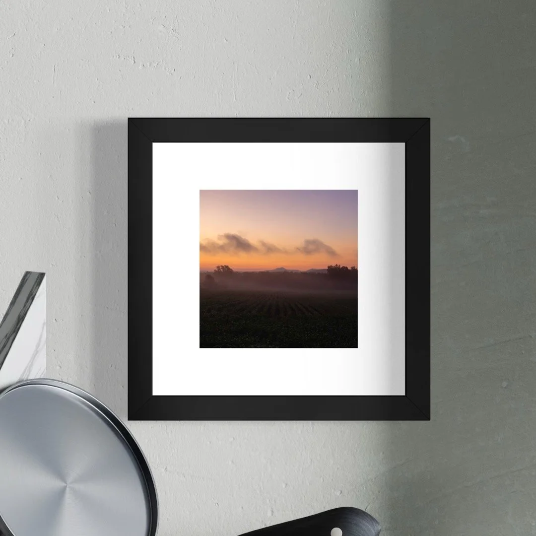 IMGB2831 A 6x6 1.125 FRAME.JPG