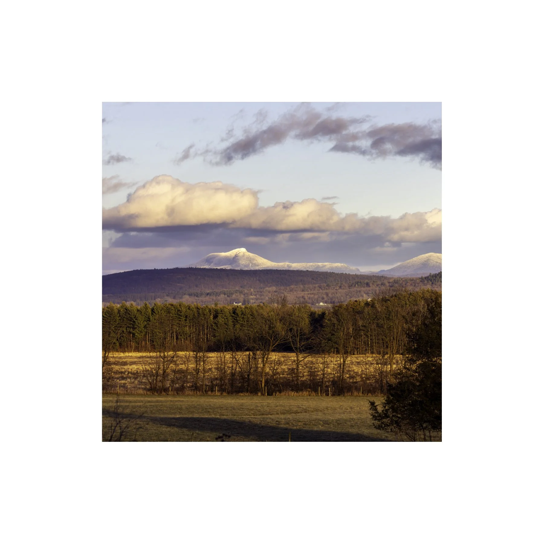 IMGA5586 6x6 1.125 CAT.jpg