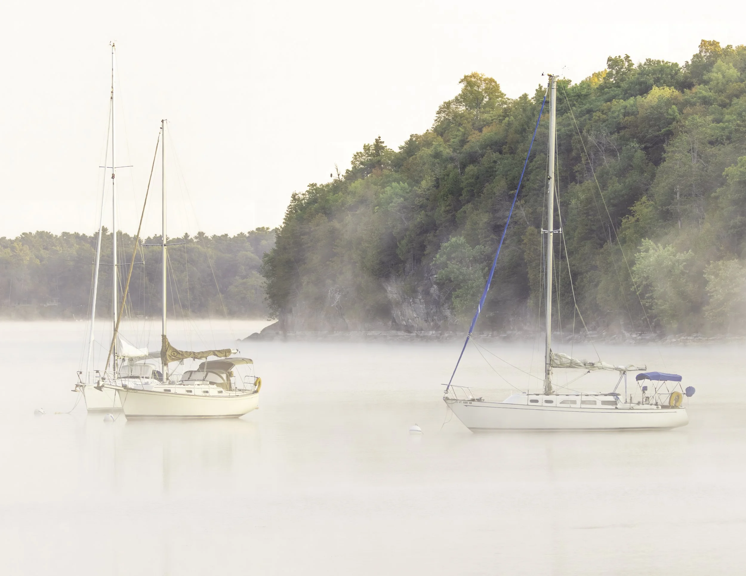 IMGF1146 POSTCARD 8.5x11 CAT.jpg