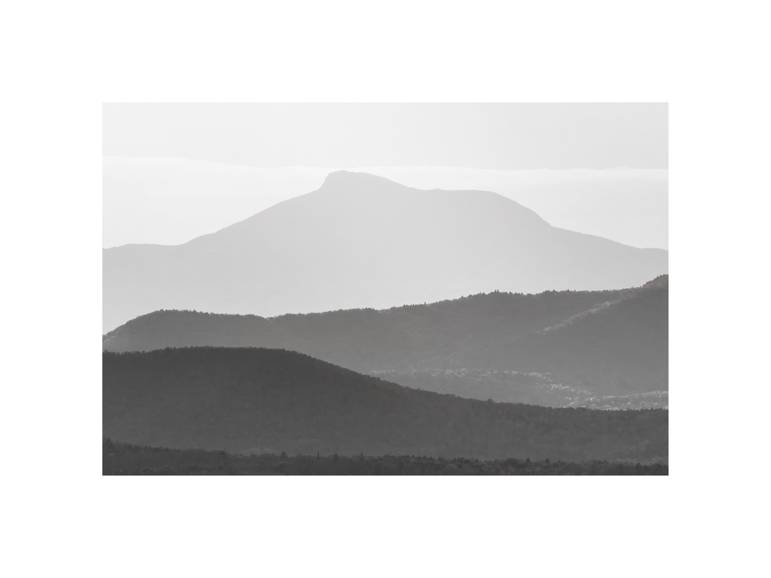 IMGG3334 BW 12x16 2.125 CAT.jpg