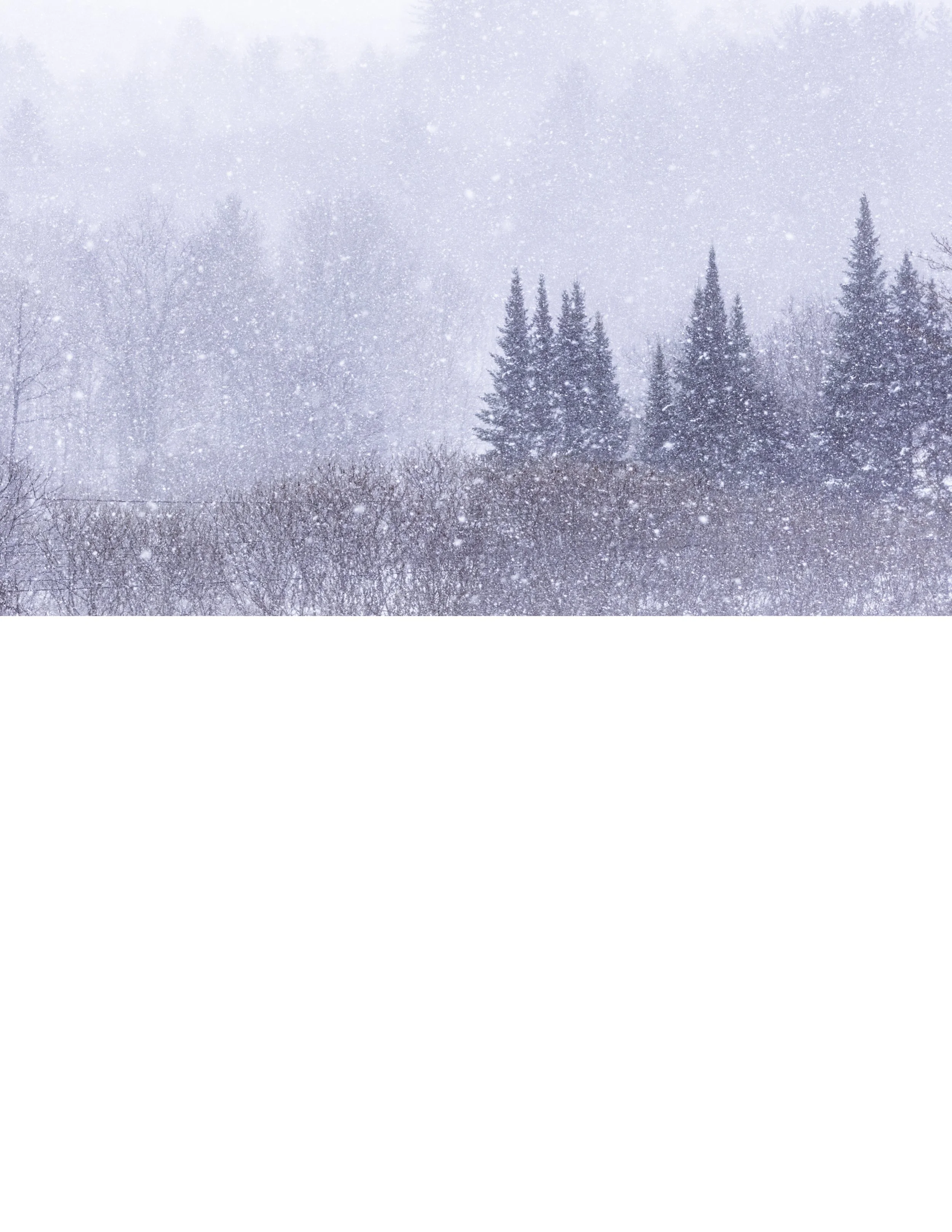 IMGA0204 E2 NOTEPAD BASE 8.5x11 CAT.jpg