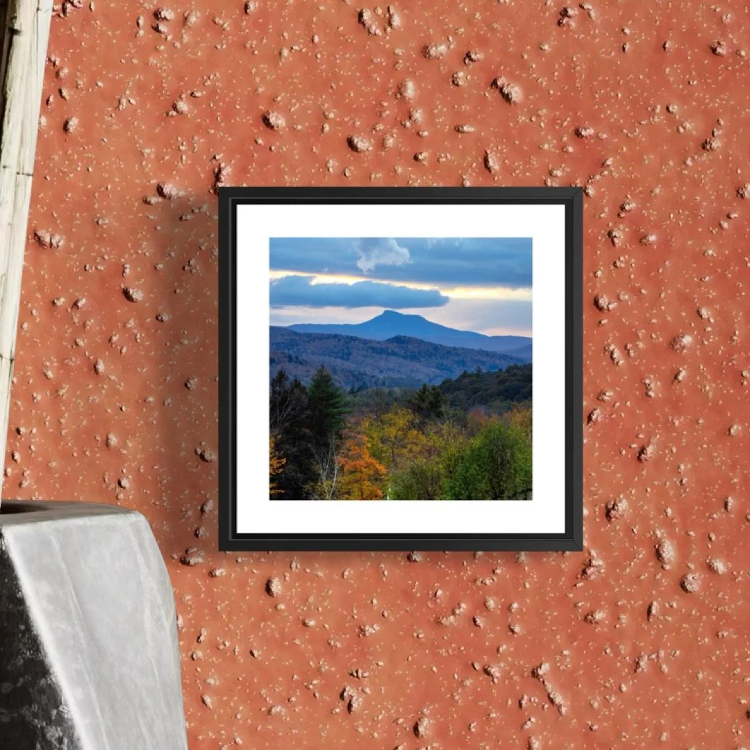 IMGA0022 5x5 0.5 FRAME.JPG