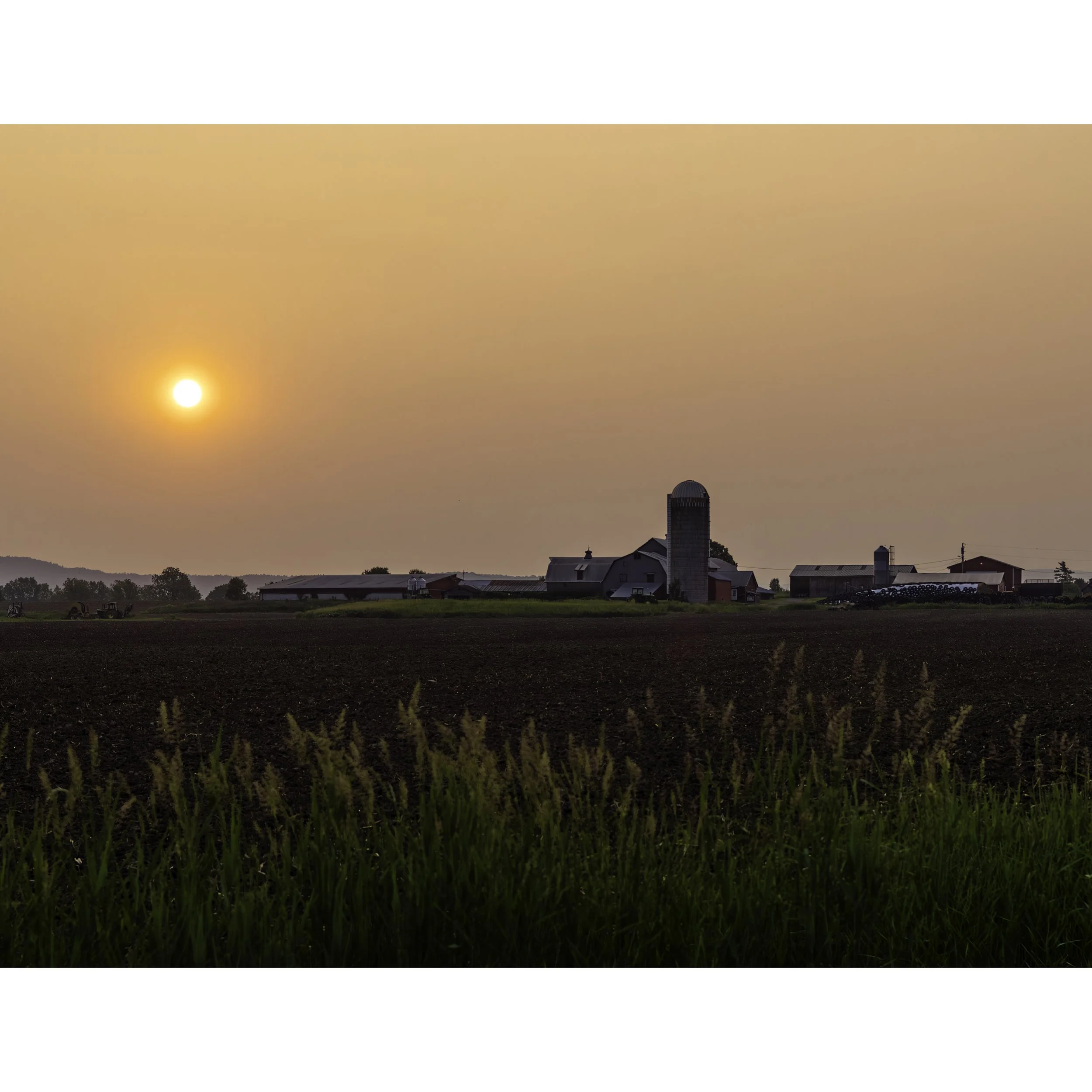 IMGF3387 POSTCARD 8.5x11 ICON.jpg