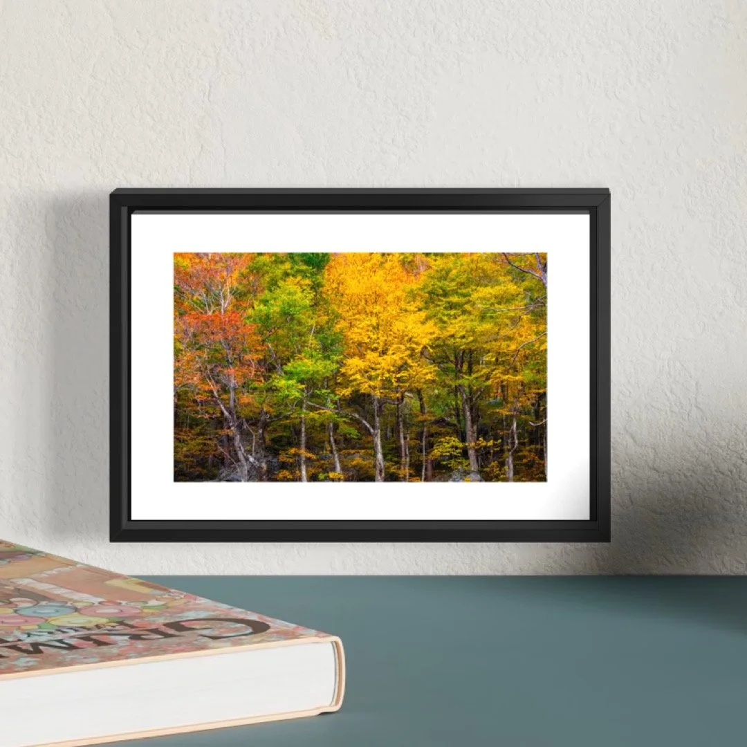 IMGG3042 4X6 0.5 0.56 FRAME.JPG (Copy)