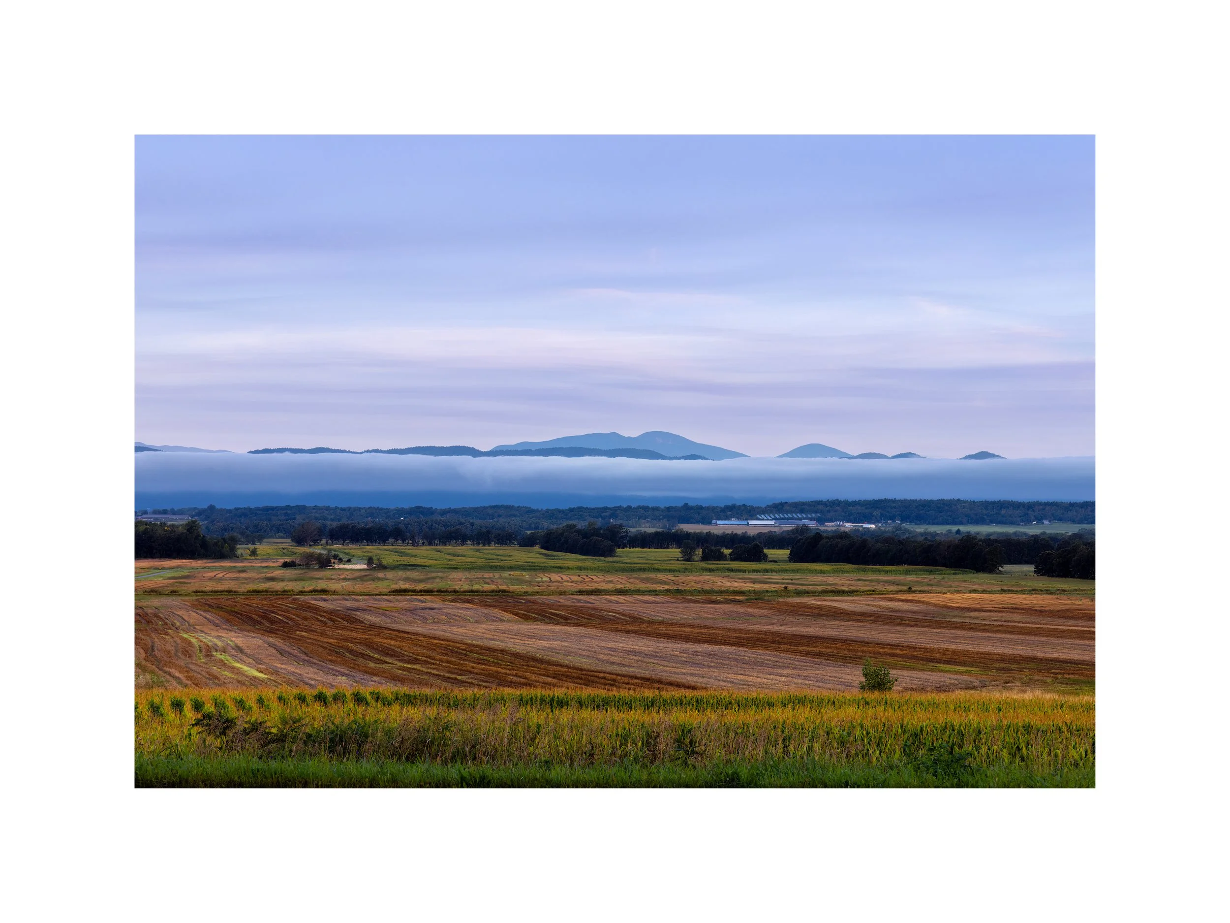 IMGA8548 18X24 2.625 CAT-L.jpg