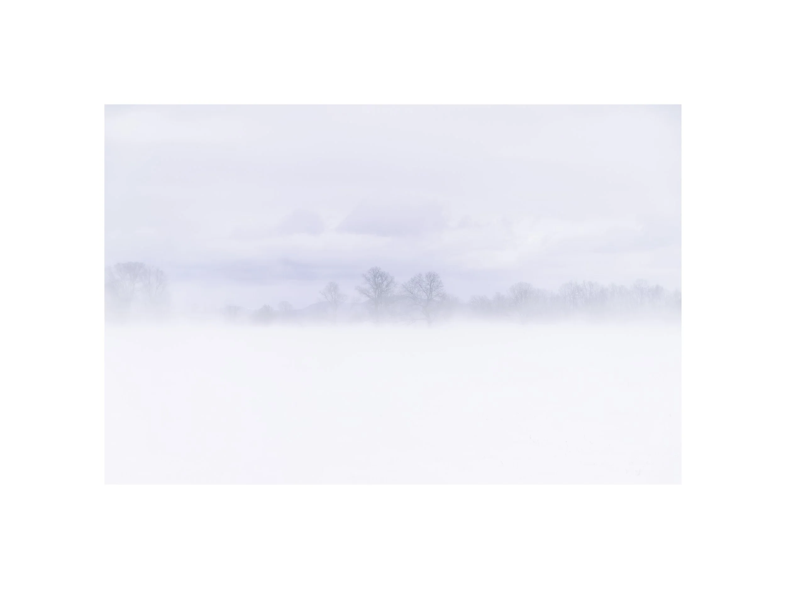 IMGG6699 12x16 2.125 CAT.jpg