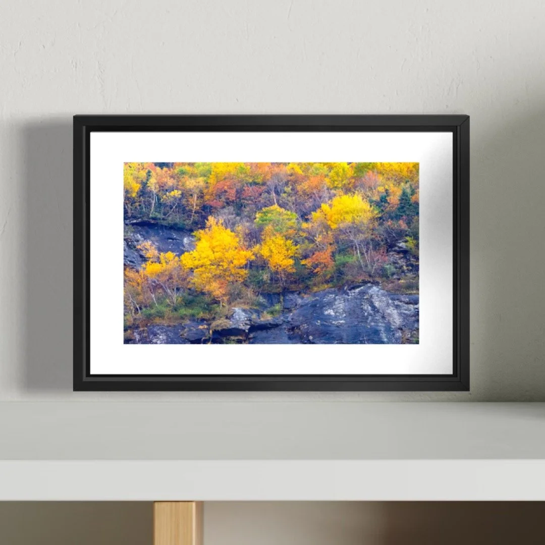 IMGG3080 A 4X6 0.5 0.56 FRAME.JPG