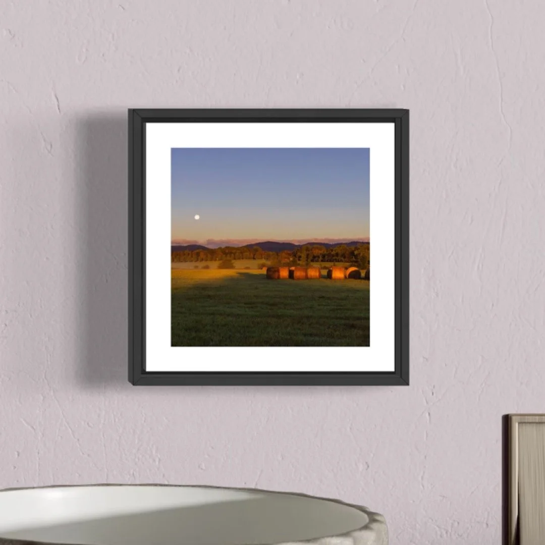 IMGF9017 5x5 0.5 FRAME.JPG