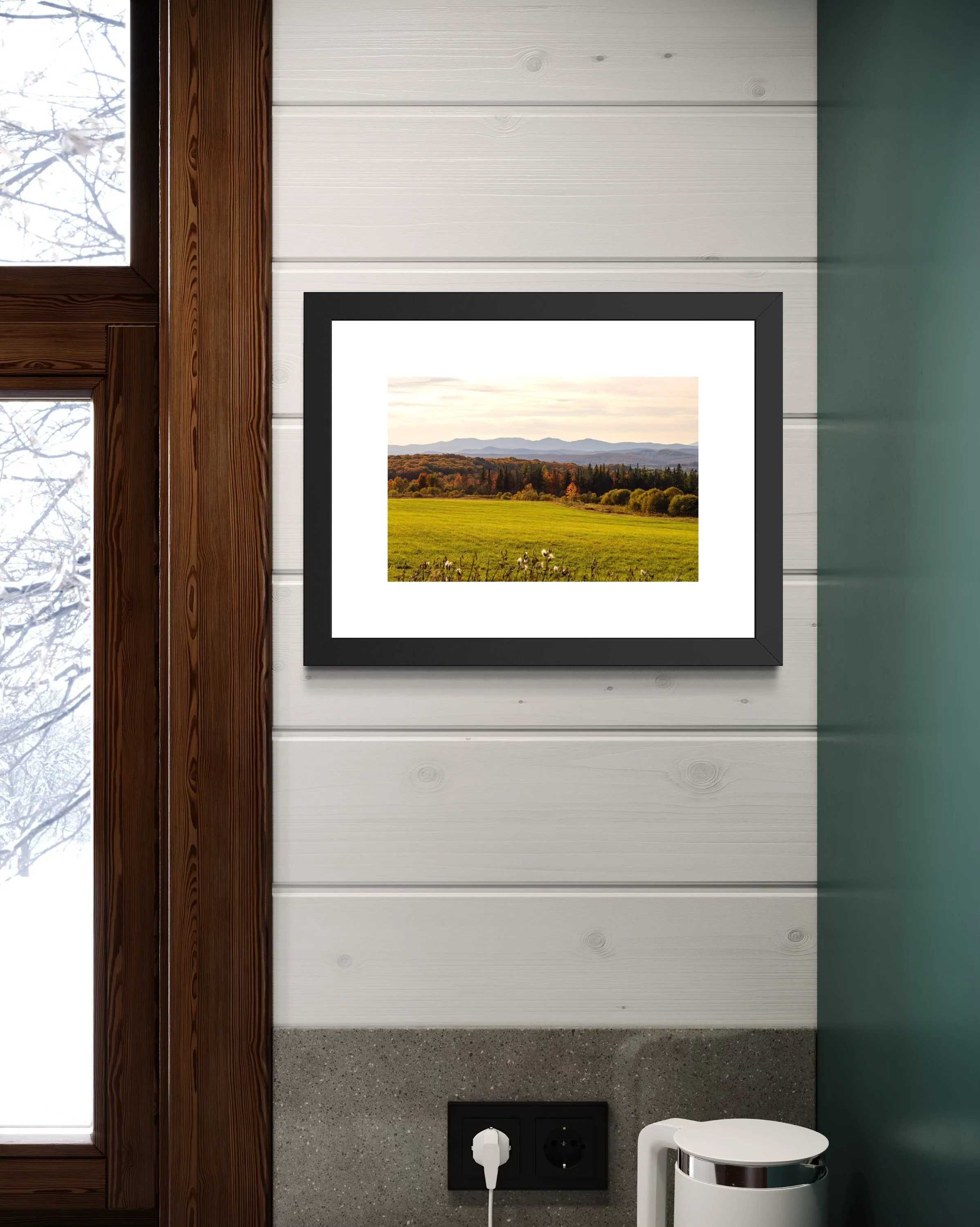 IMGC9704 12X16 2.125 FRAME.JPG