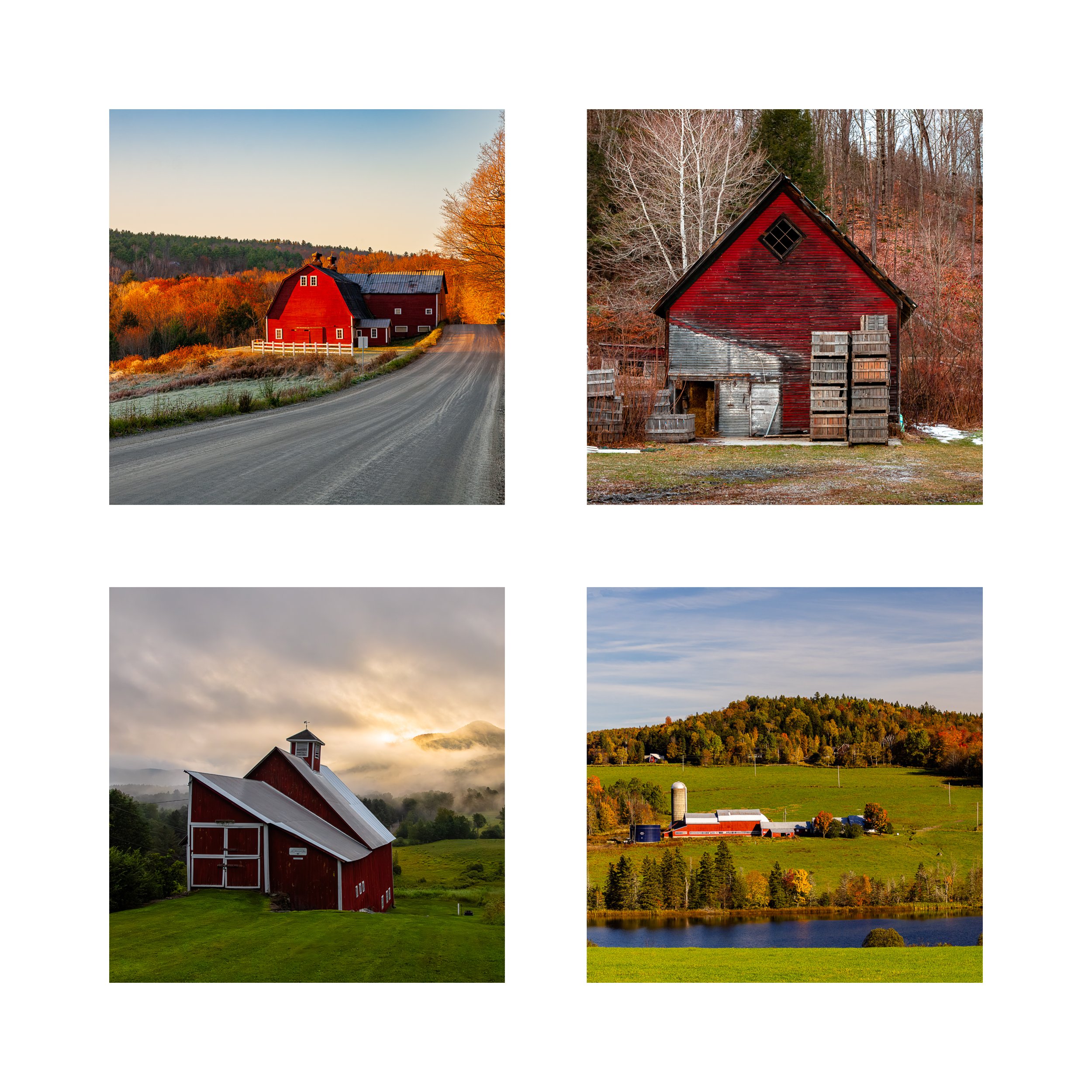 BARNS 3 COLLAGE 10X10 1 0.75 CAT.jpg