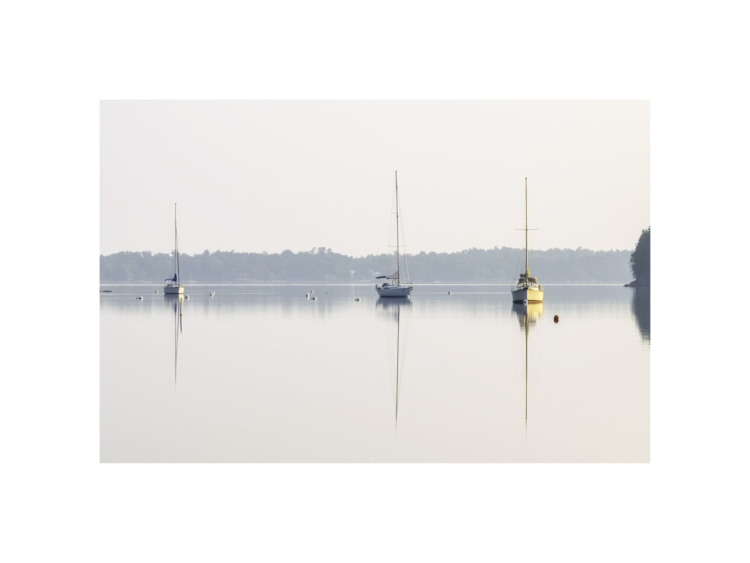 IMGA3508 E4 12x16 2.125 CAT.jpg