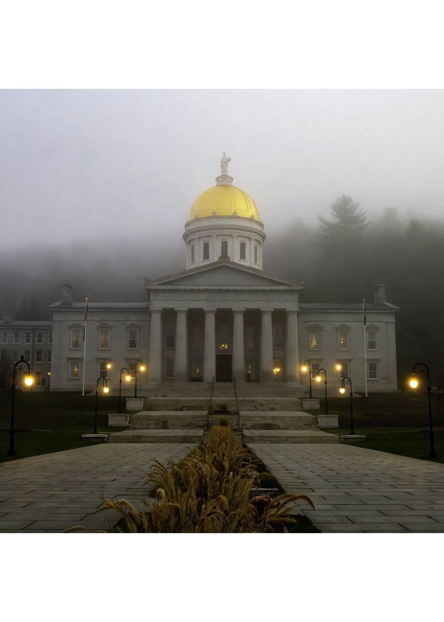 IMG_1923 NOTECARD CENTER BASE 7x5 CAT.jpg