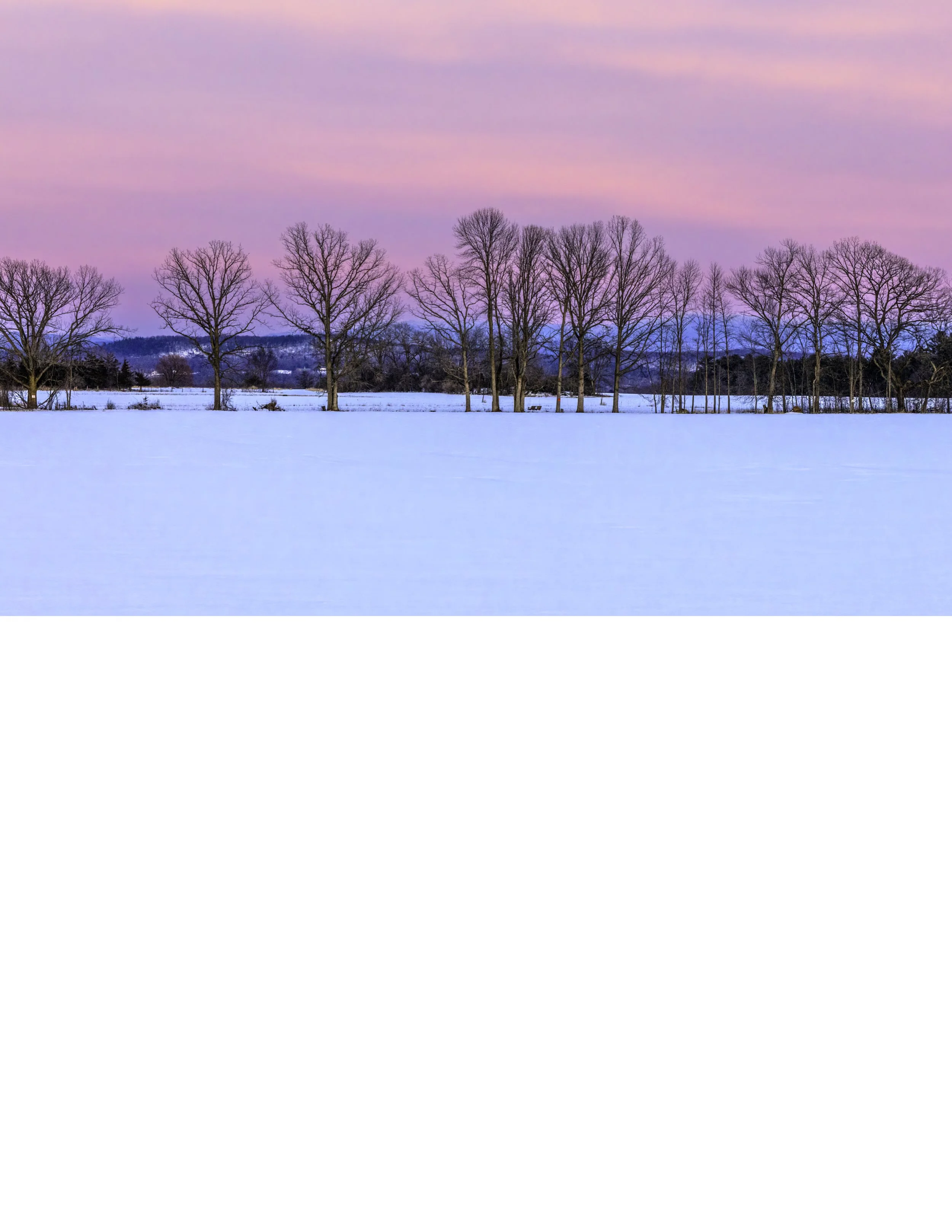 IMGA5300 NOTEPAD BASE 8.5x11 CAT.jpg