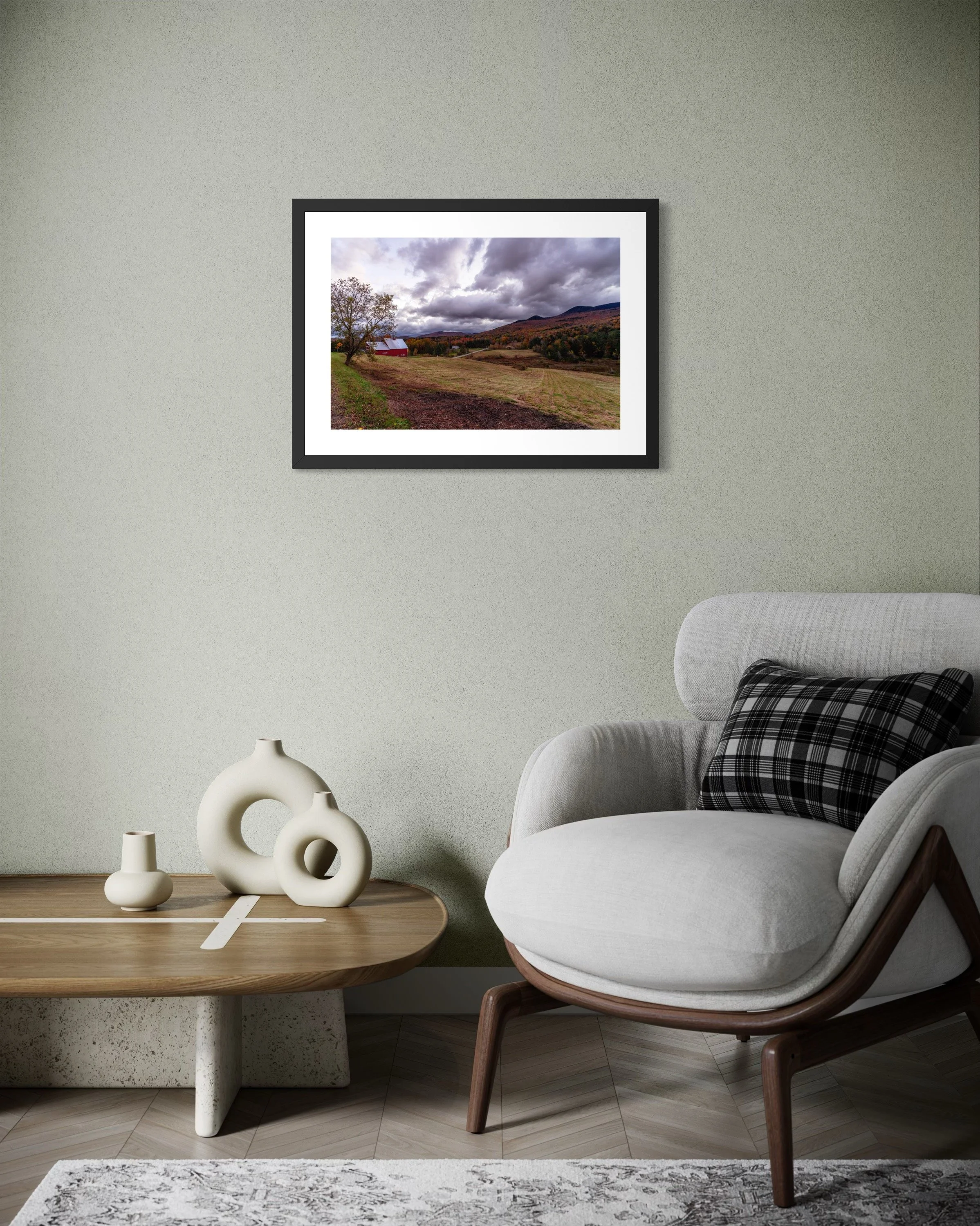 IMGC9771 28x20 2.125 FRAME.JPG