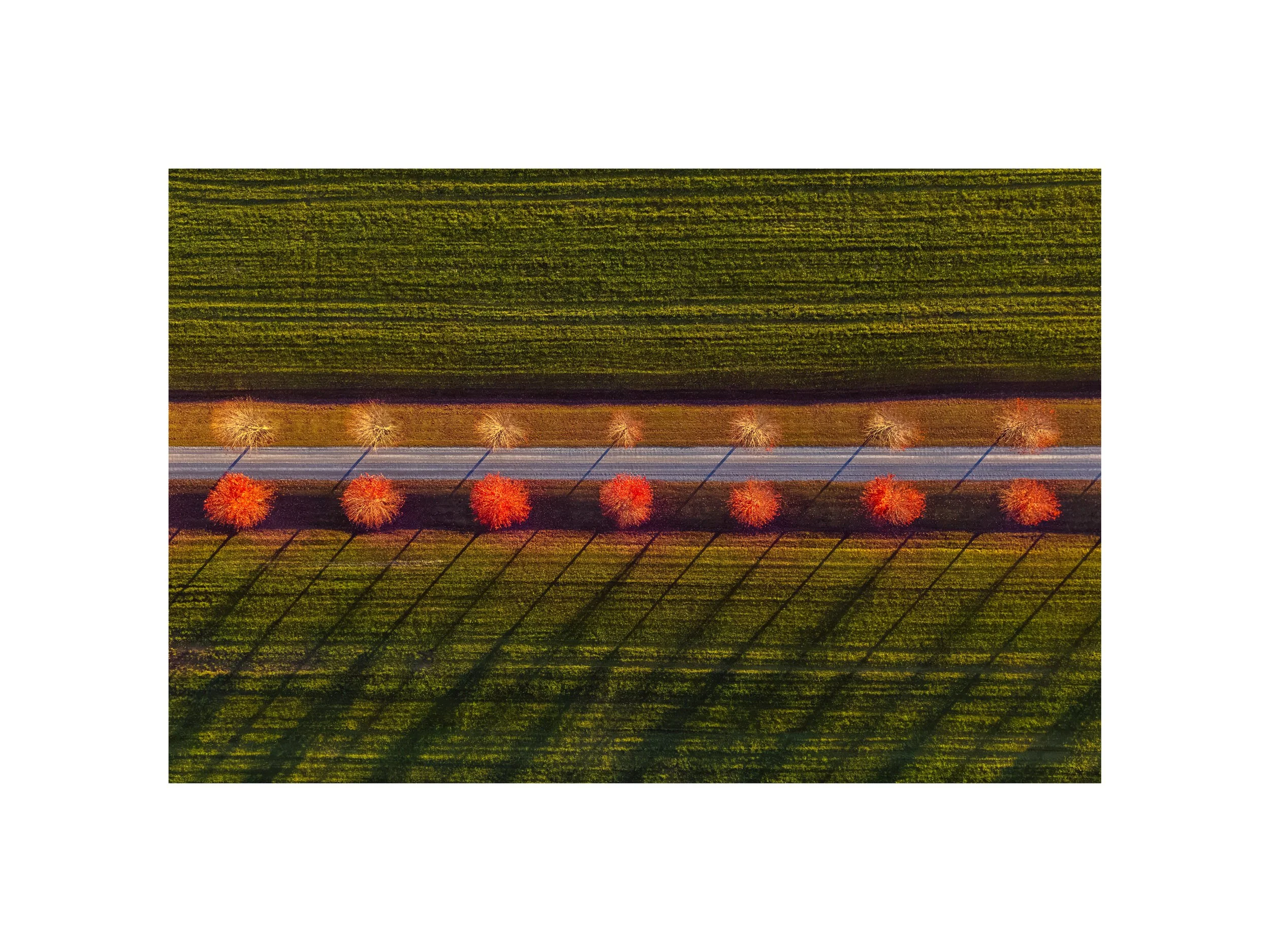 DJI 20261019 0015 12x16 2.125 CAT-3.jpg