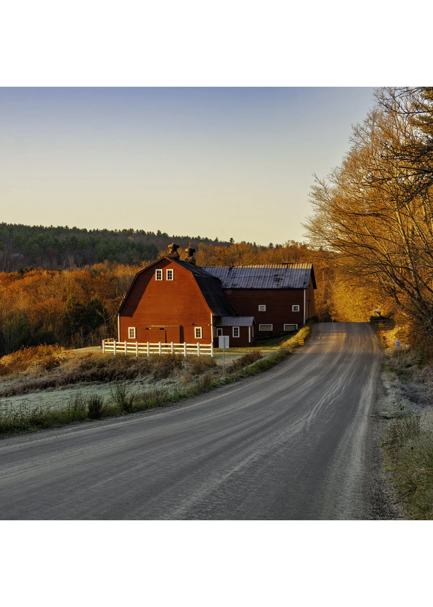 IMG_1314 NOTECARD CENTER BASE 7x5 CAT.jpg