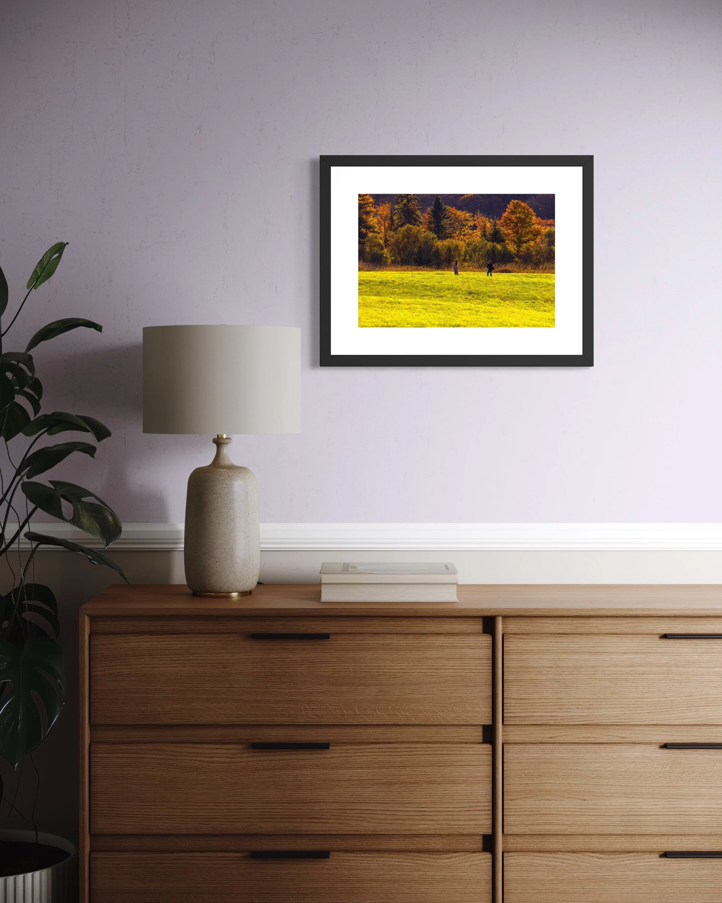 IMGC9753 18X24 2.625 FRAME.JPG