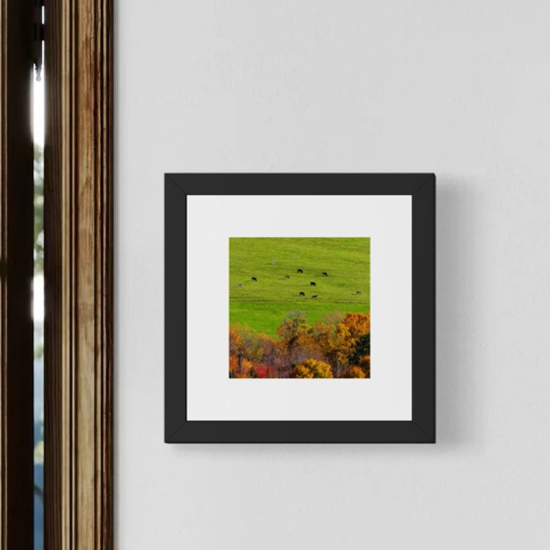 IMGC9667 6x6 1.125 FRAME.JPG