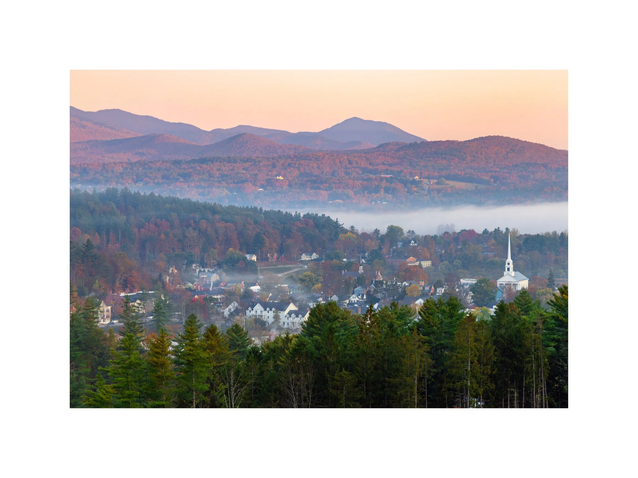 IMGG2943 18x24 2.625 CAT-L.jpg