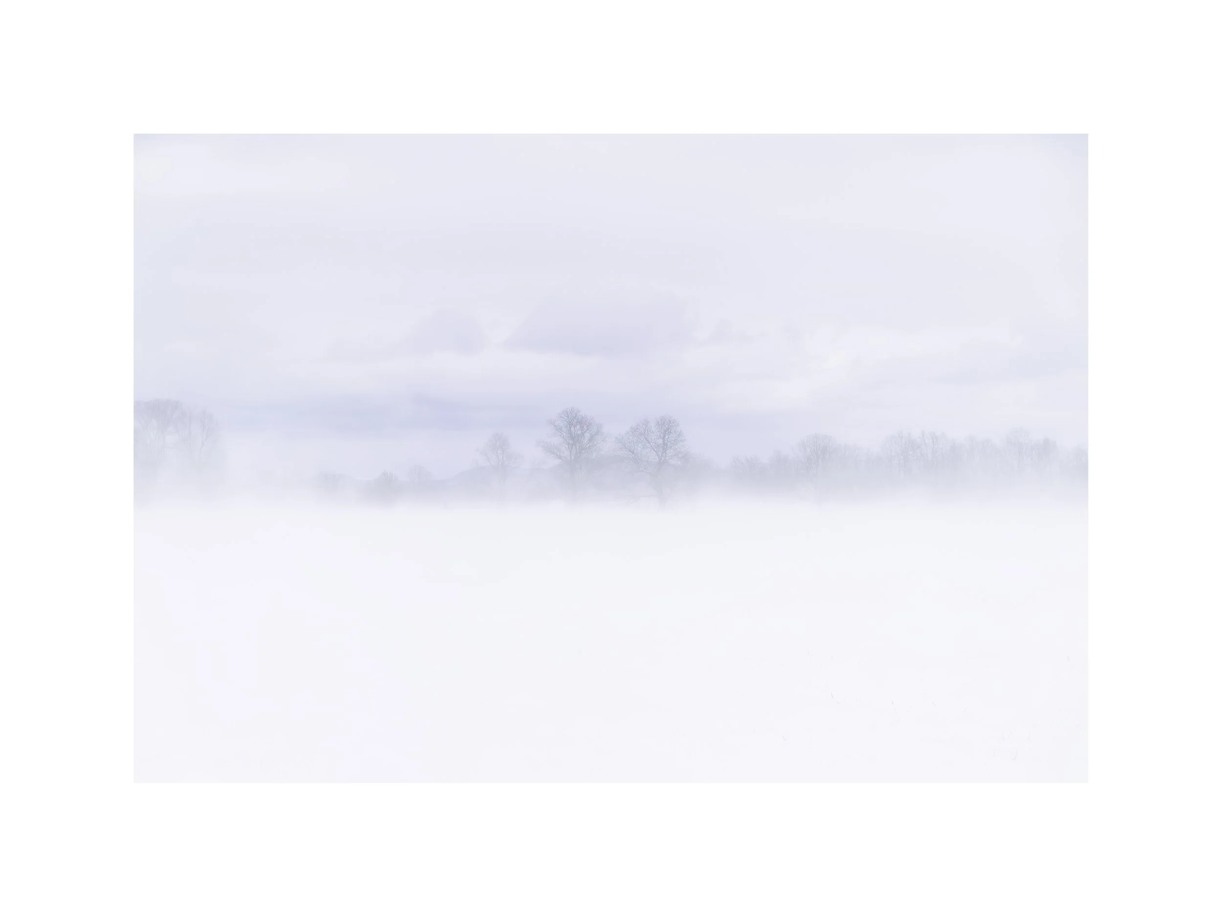 IMGG6699 18X24 2.625 CAT.jpg