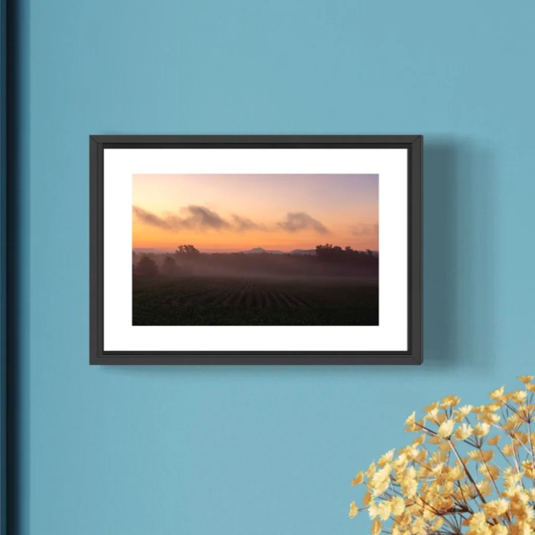 IMGB2831 B 4X6 0.5 0.56 FRAME.JPG