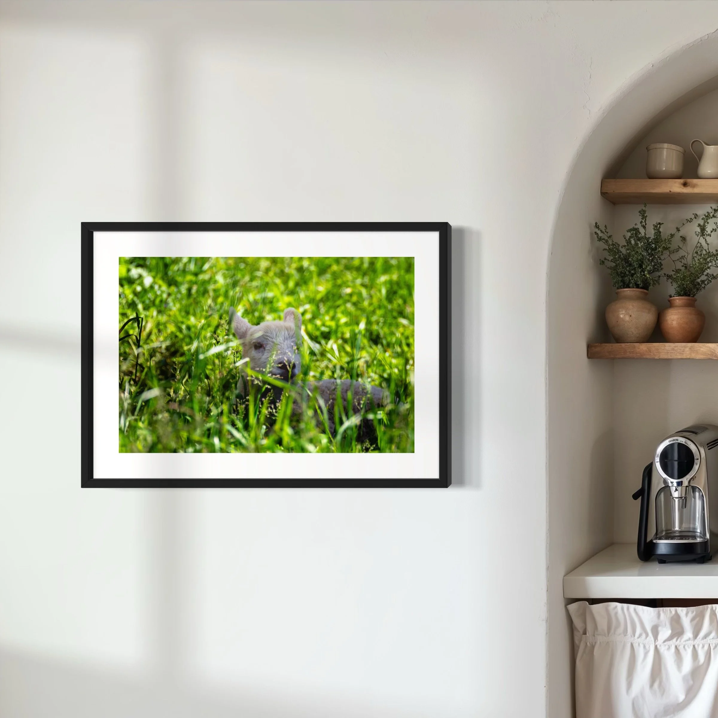 IMGF2792 20x28 2.125 FRAME.JPG