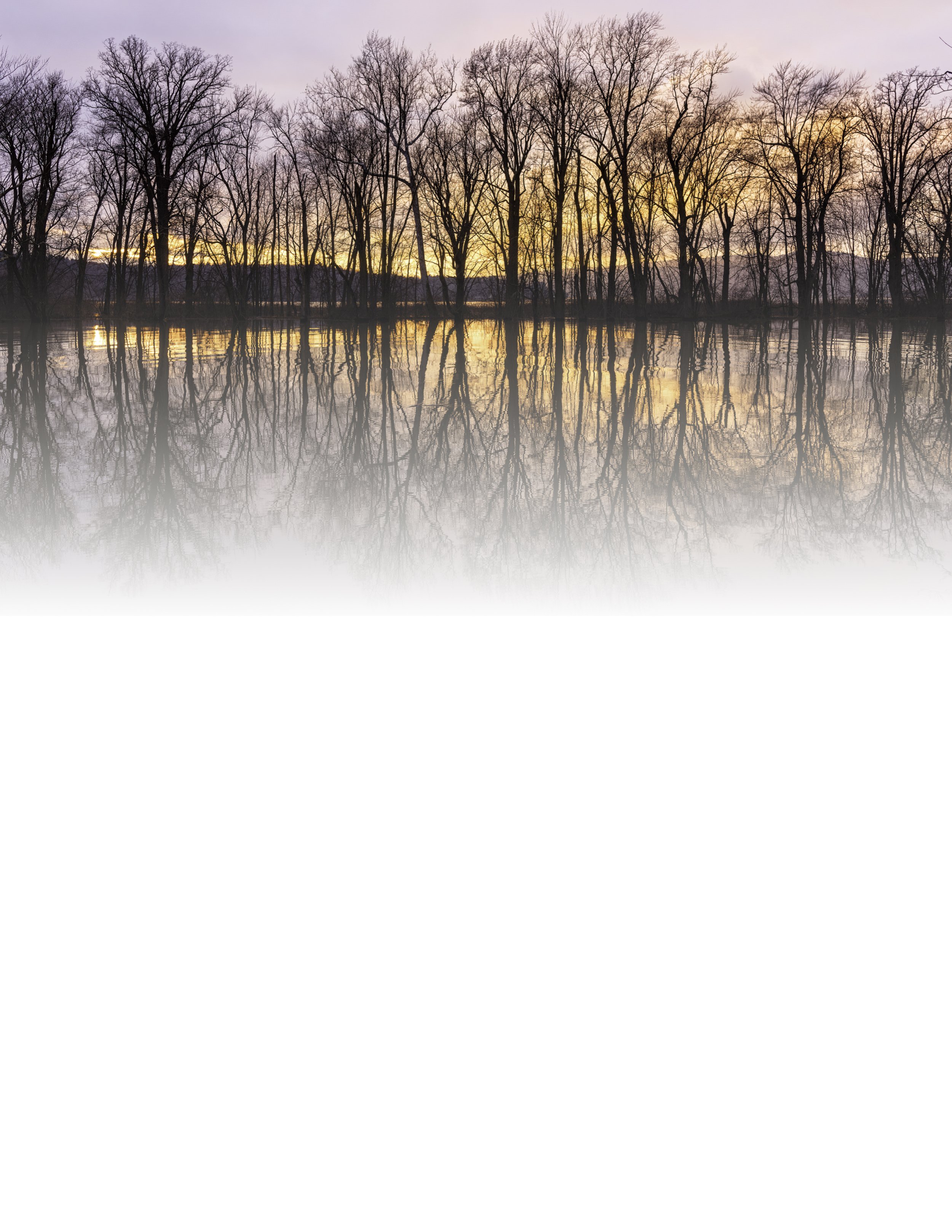 IMGA6265 NOTEPAD FADE 8.5x11 CAT.jpg