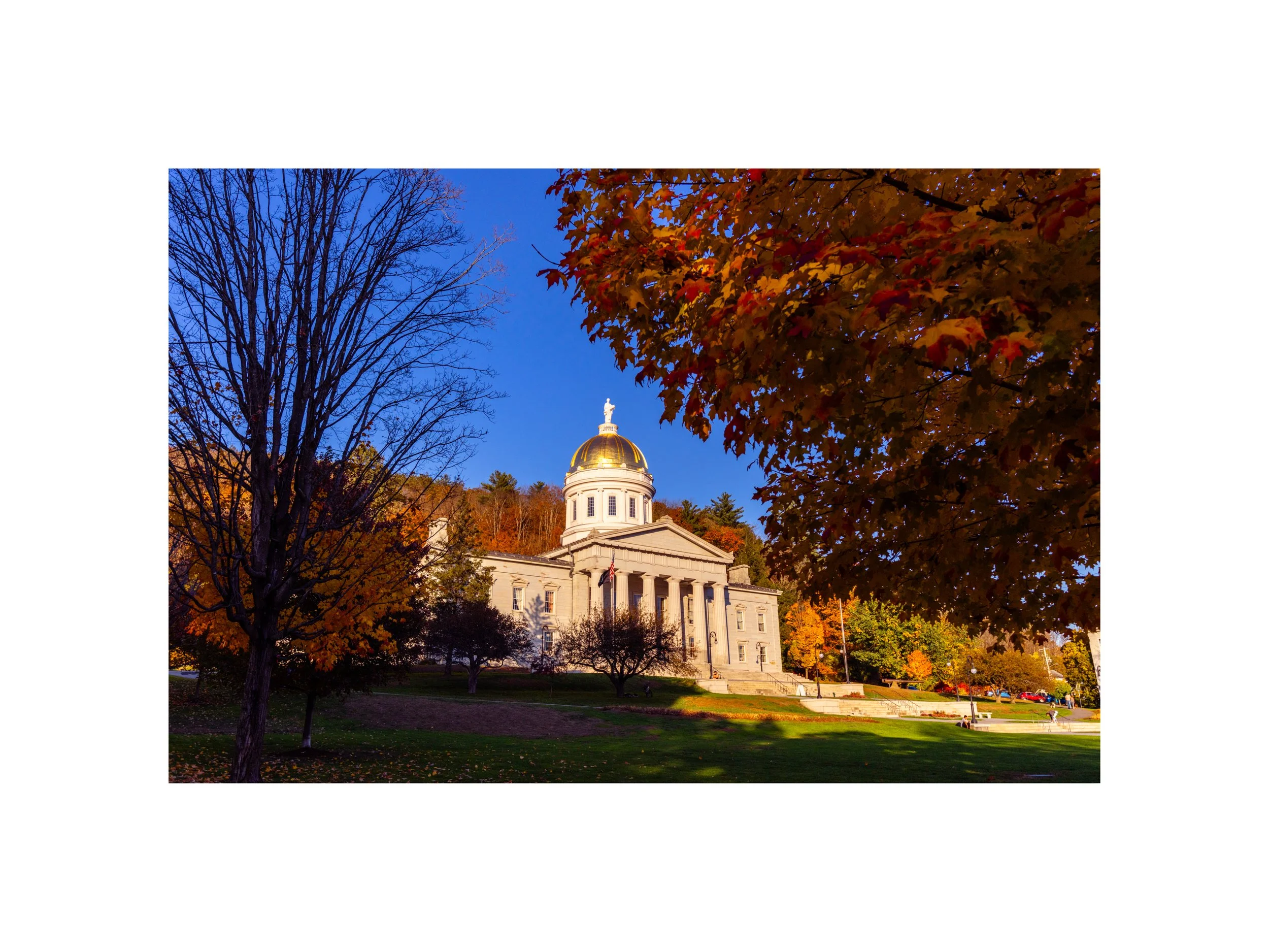 IMGD0264 12X16 2.125 CAT.jpg