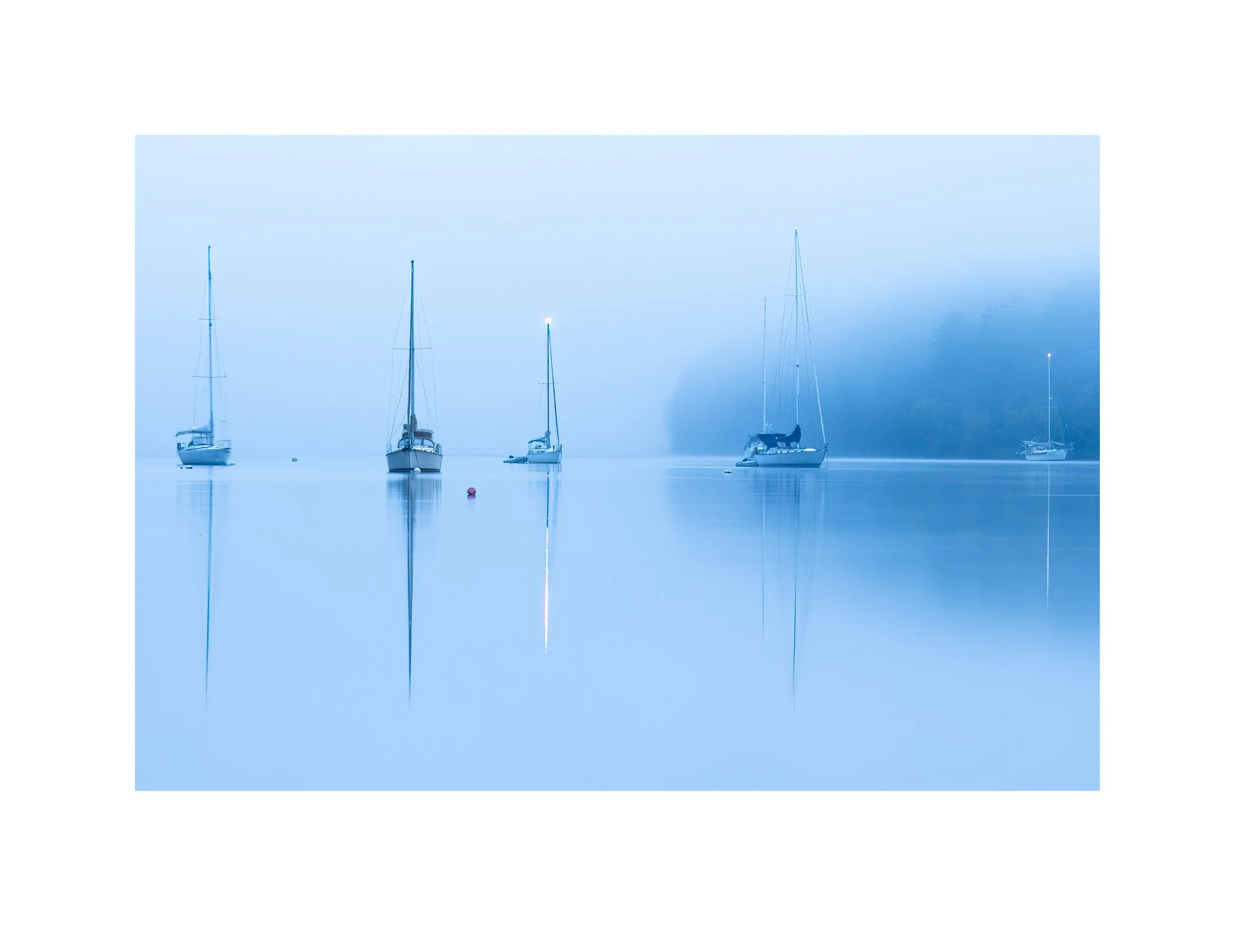 IMGA8025 18x24 2.625 CAT.jpg