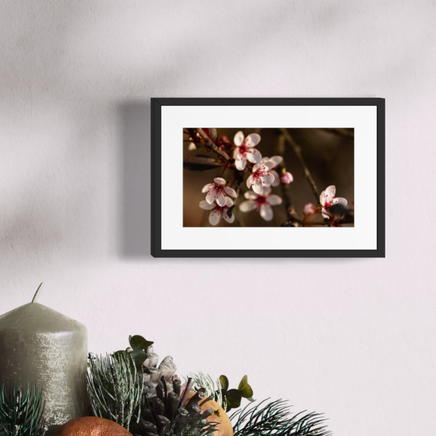 IMGA9614 4X6 .625 FRAME.PNG (Copy)