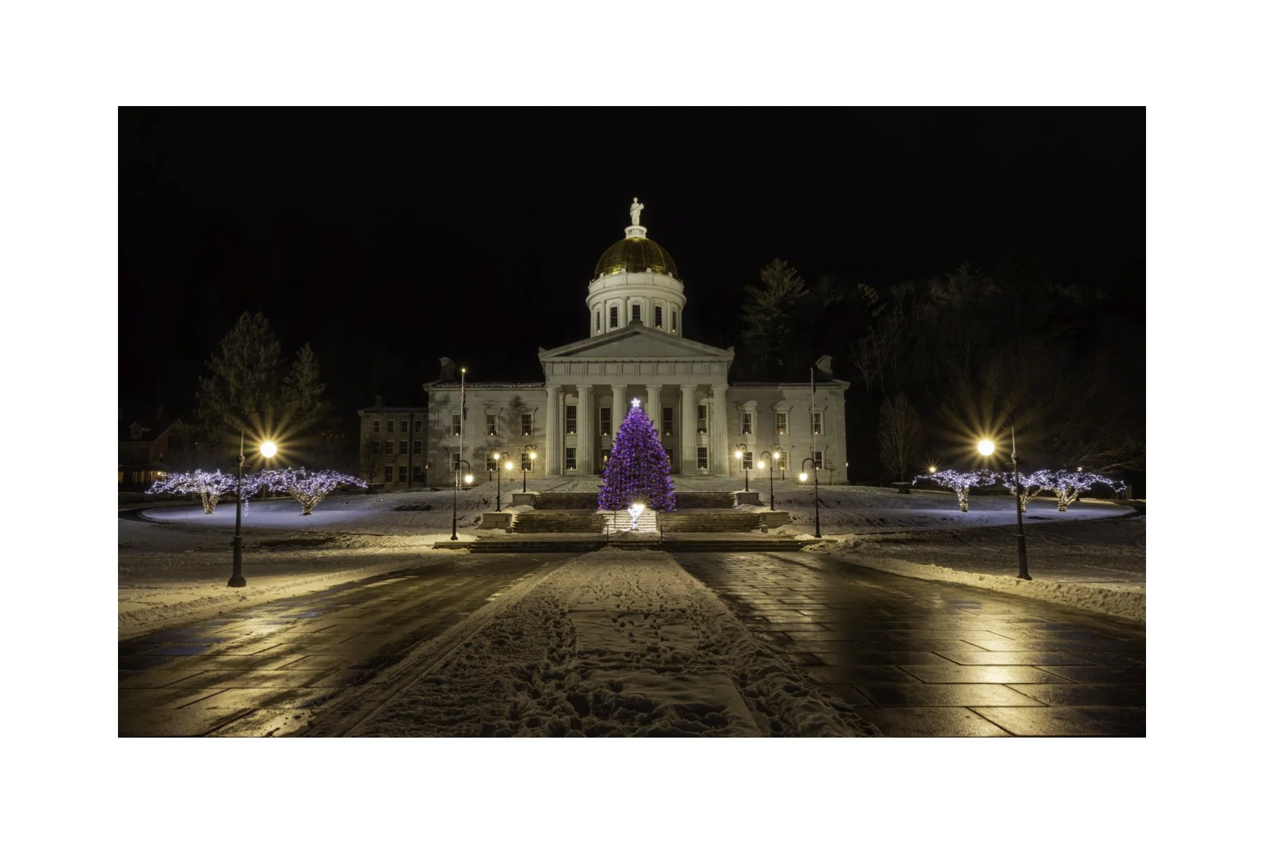 IMGE1165 4X6 0.5 0.56 CAT.jpg