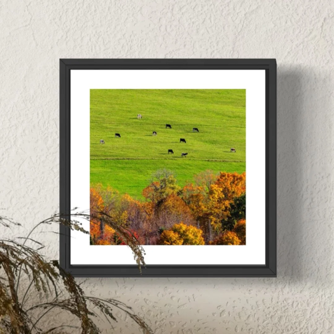 IMGC9667 5x5 0.5 FRAME.JPG