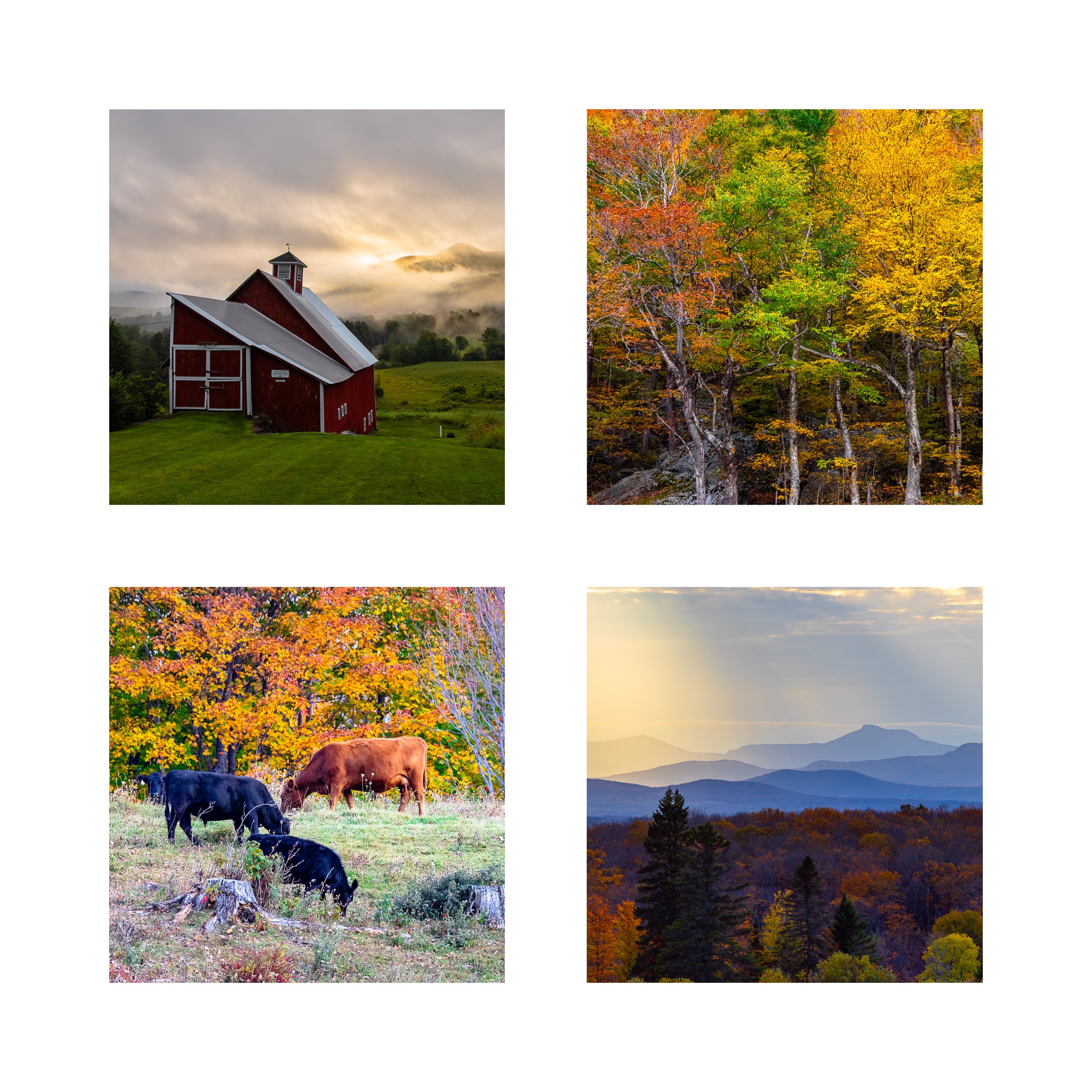 VERMONT MIX 2 COLLAGE 10X10 1 0.75 CAT.jpg