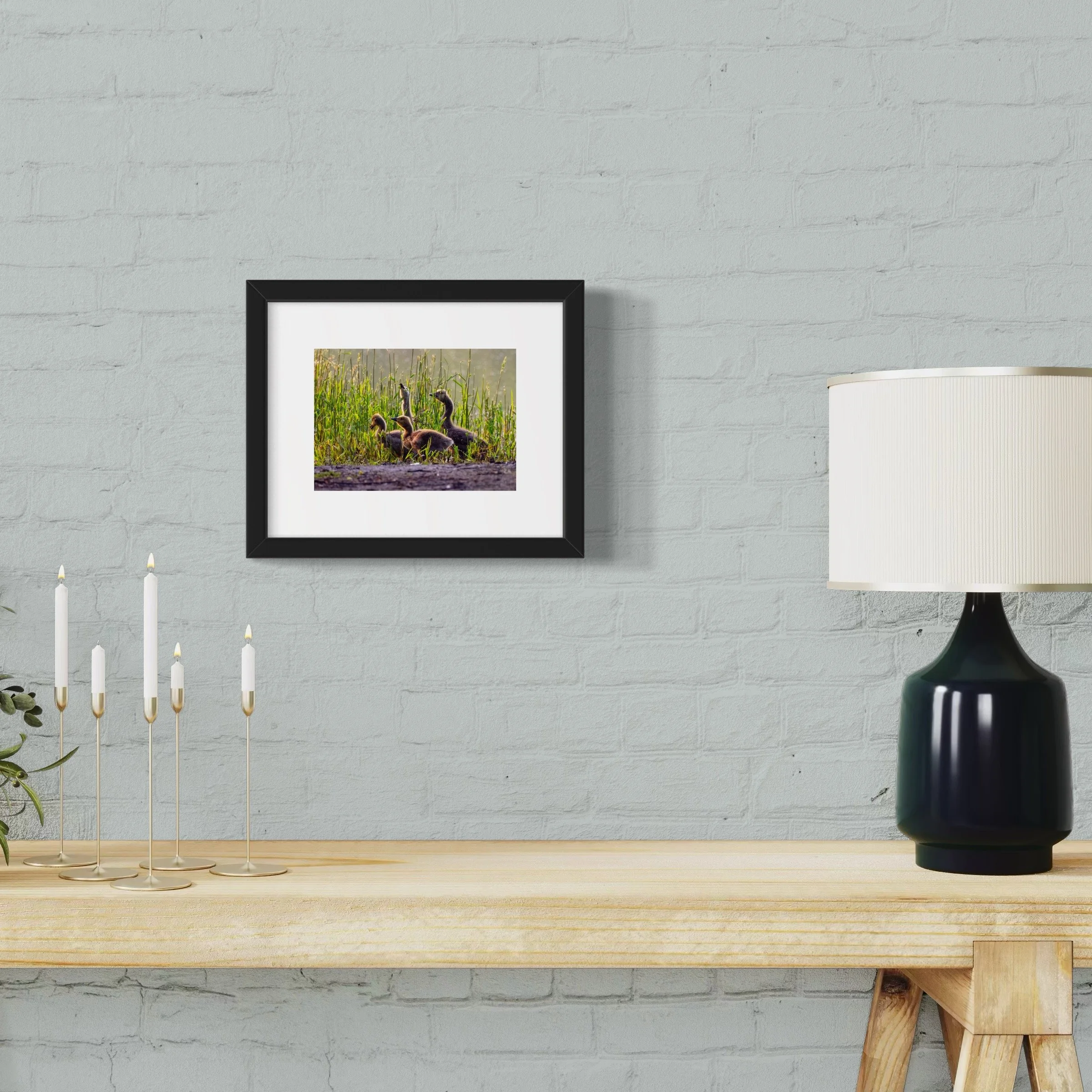 IMGF3731 8x10 1.625 FRAME.JPG