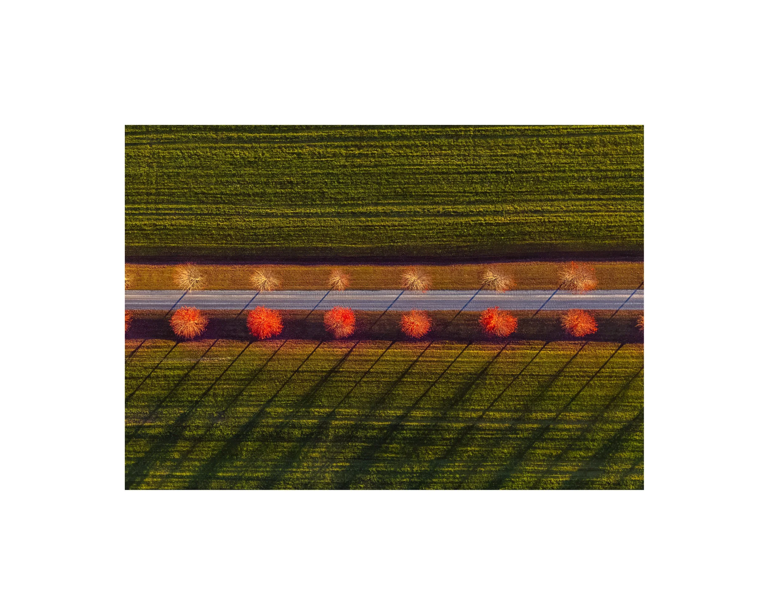 DJI 20261019 0015 8x10 1.625 CAT.jpg