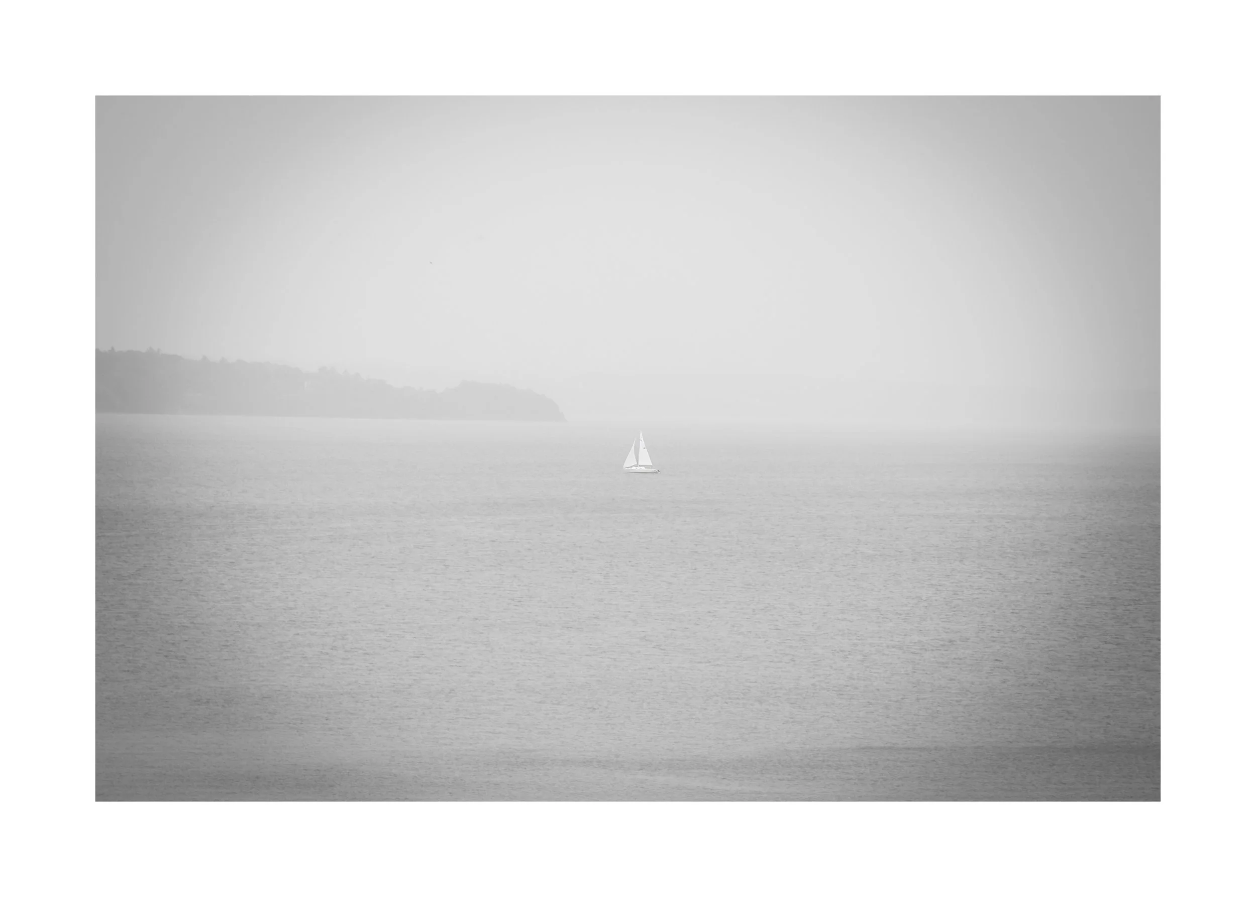 IMGA2623 20x28 2.125 CAT.jpg