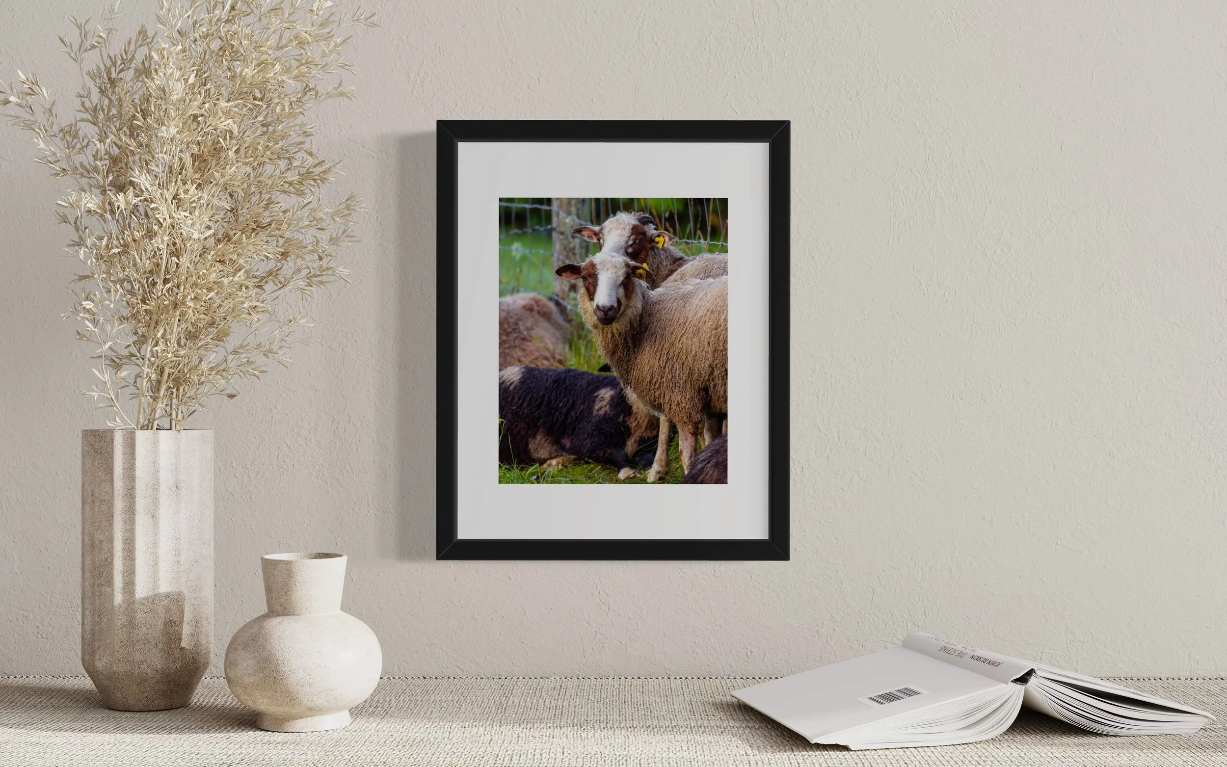 IMGA1860 14x11 1.625 2.125 FRAME.JPG